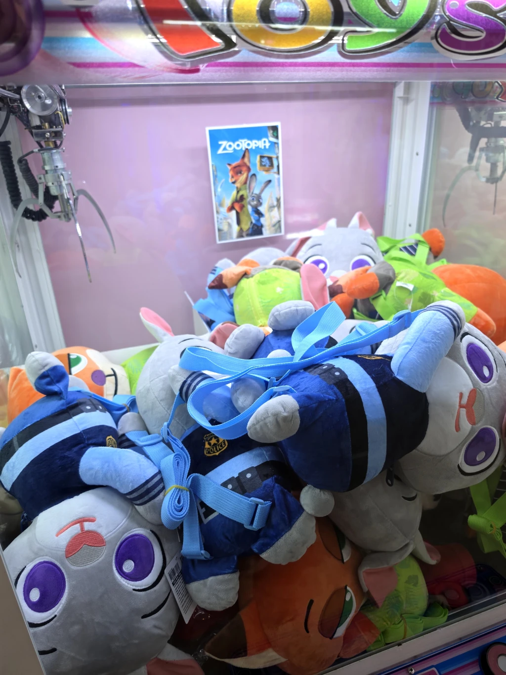 Toys pop 사용자 등록 사진