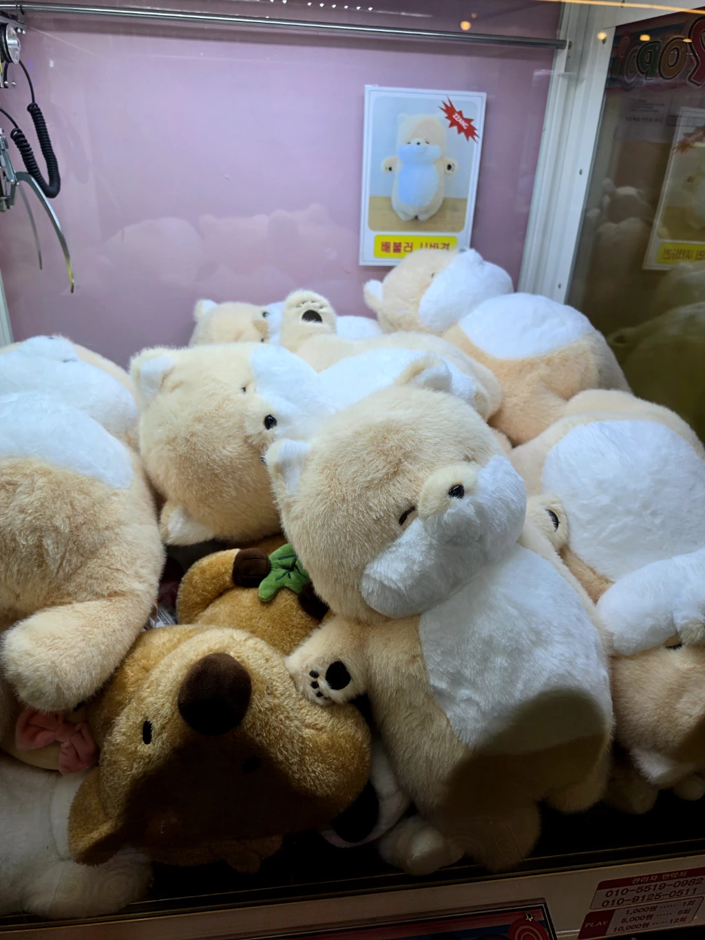 스위트원 사용자 등록 사진