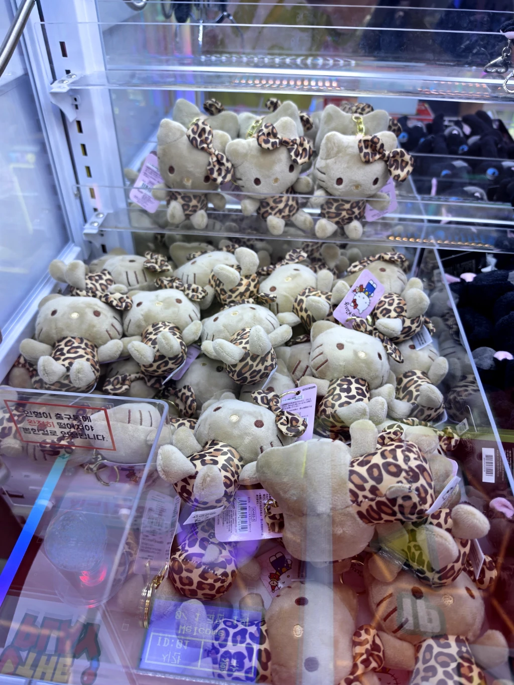 더플레이(PREMIUM THE PLAY GACHA SHOP) 매장 사진