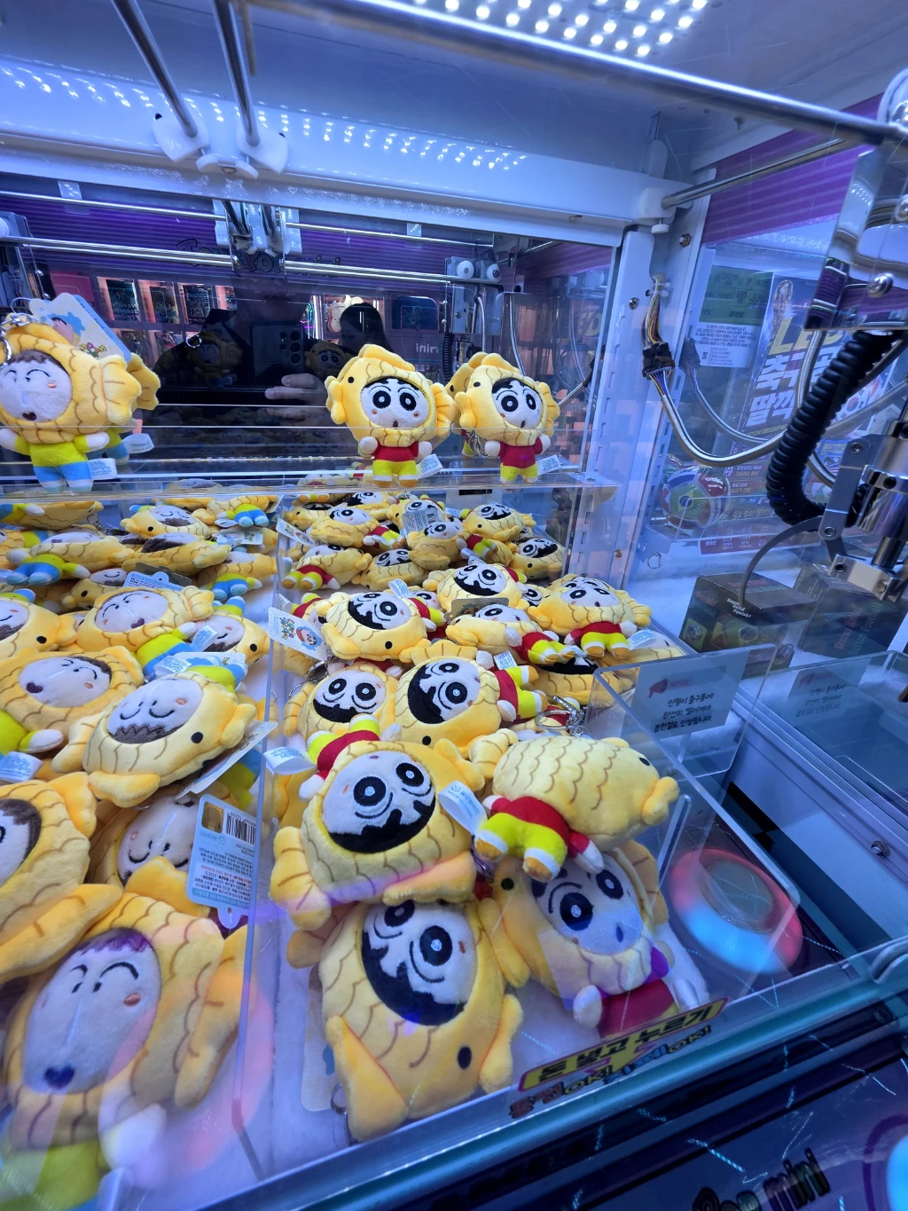 와따뽑기 매장 사진