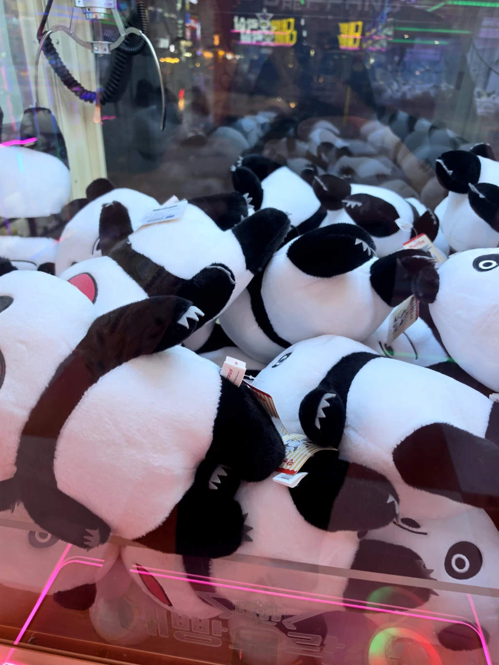 대빵인형뽑기 매장 사진