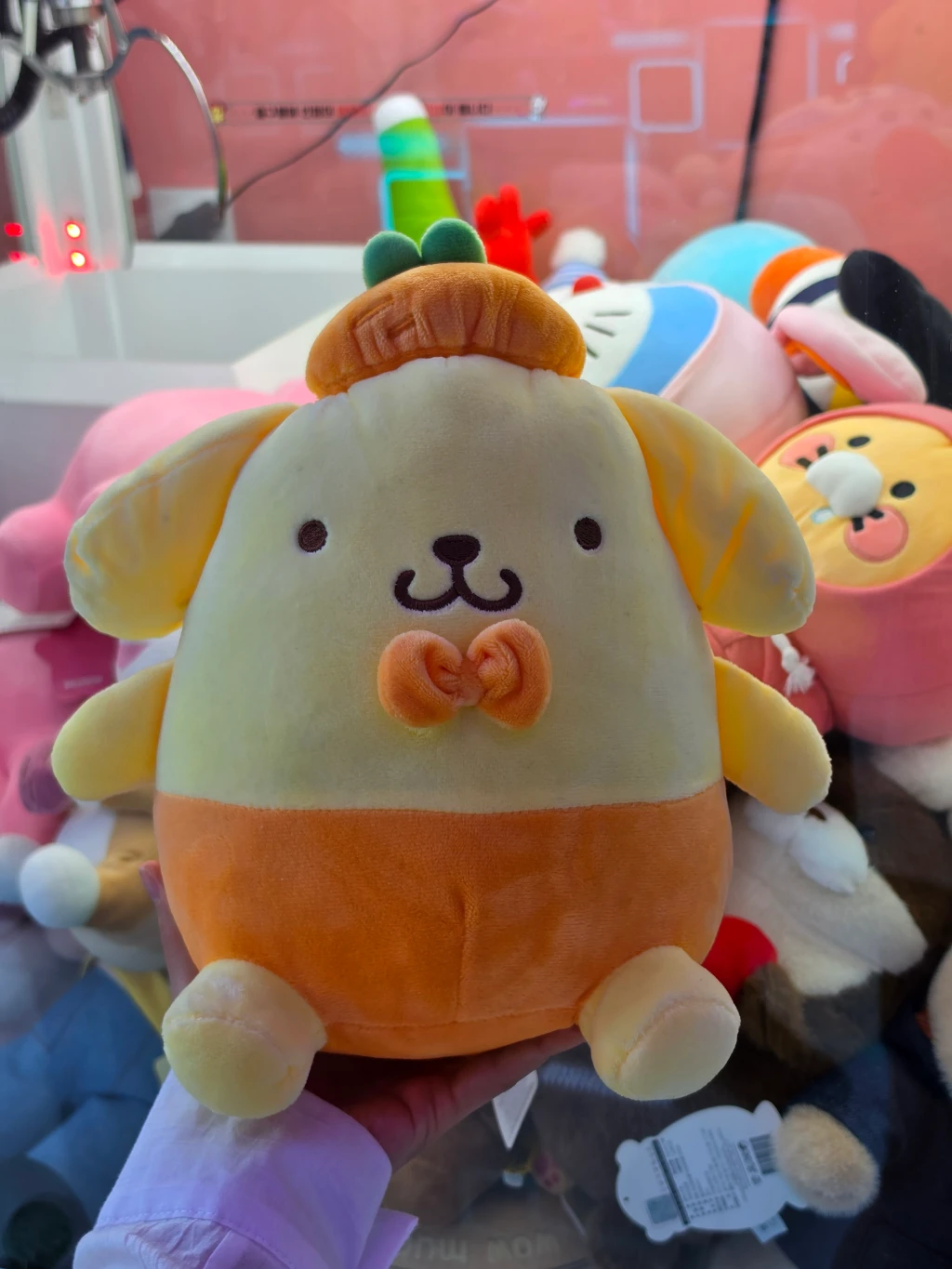 뽑뽀 방문 후기 사진