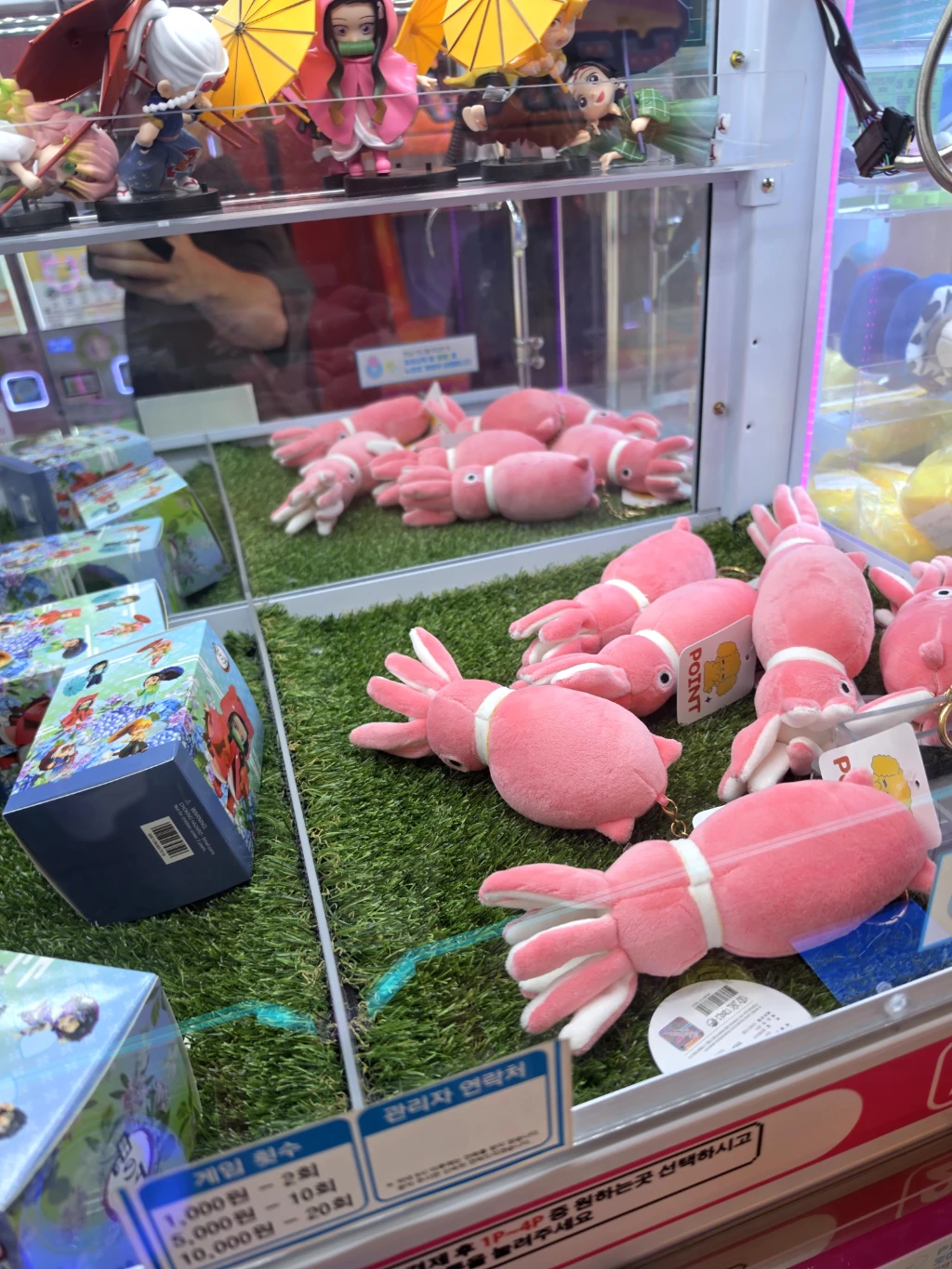 패밀리놀이터 사용자 등록 사진