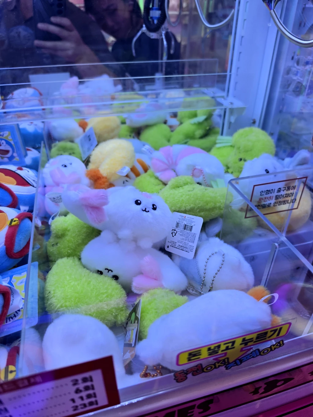 더플레이(PREMIUM THE PLAY GACHA SHOP) 매장 사진