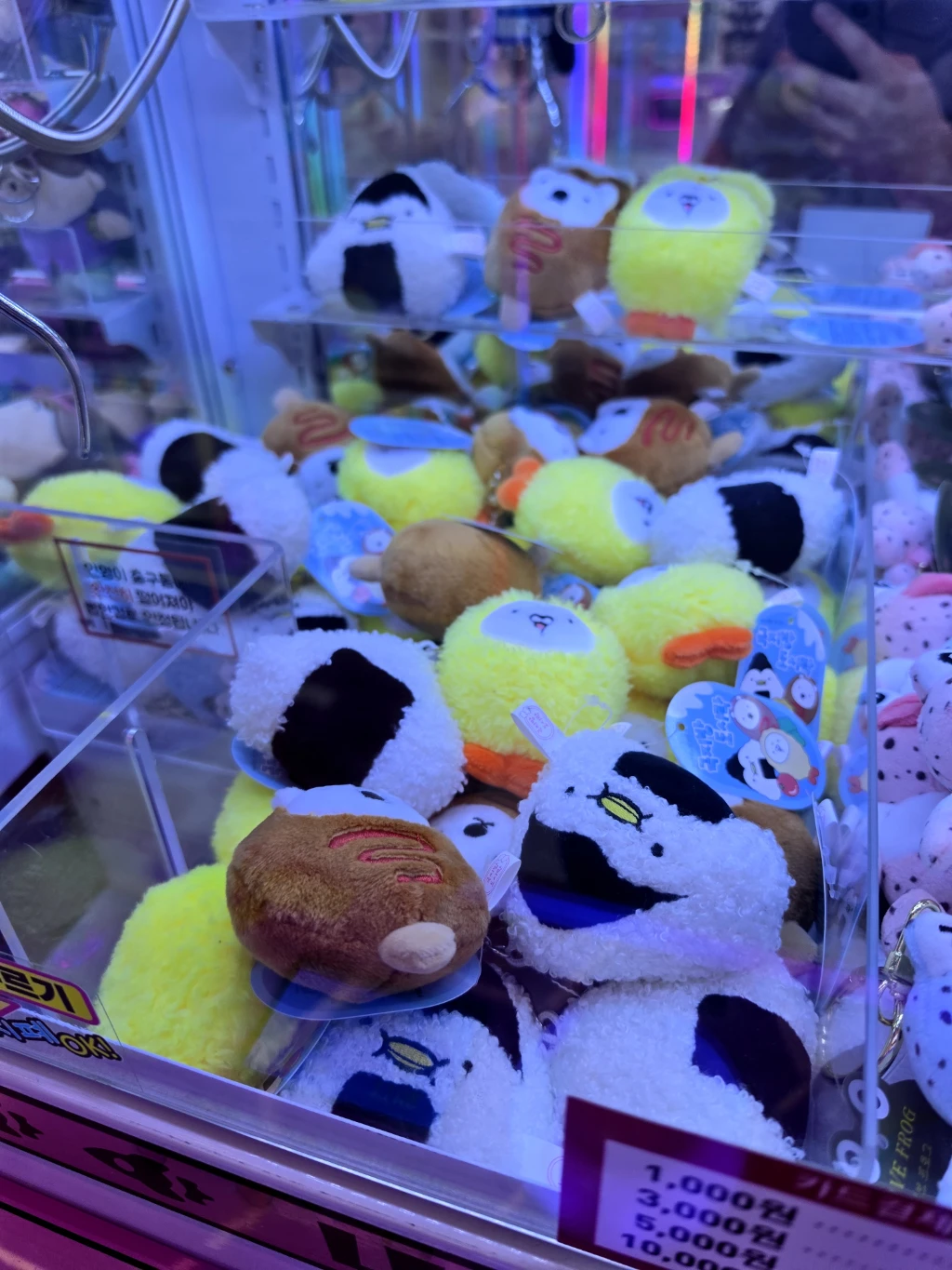 더플레이(PREMIUM THE PLAY GACHA SHOP) 매장 사진
