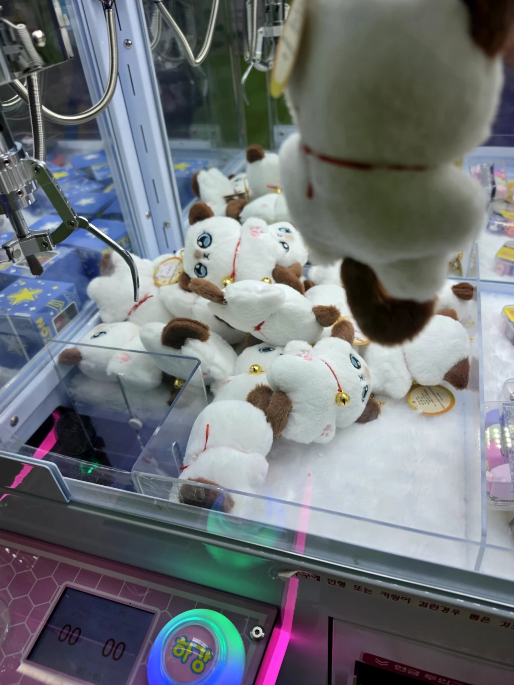 러키비키 평택용죽점 사용자 등록 사진