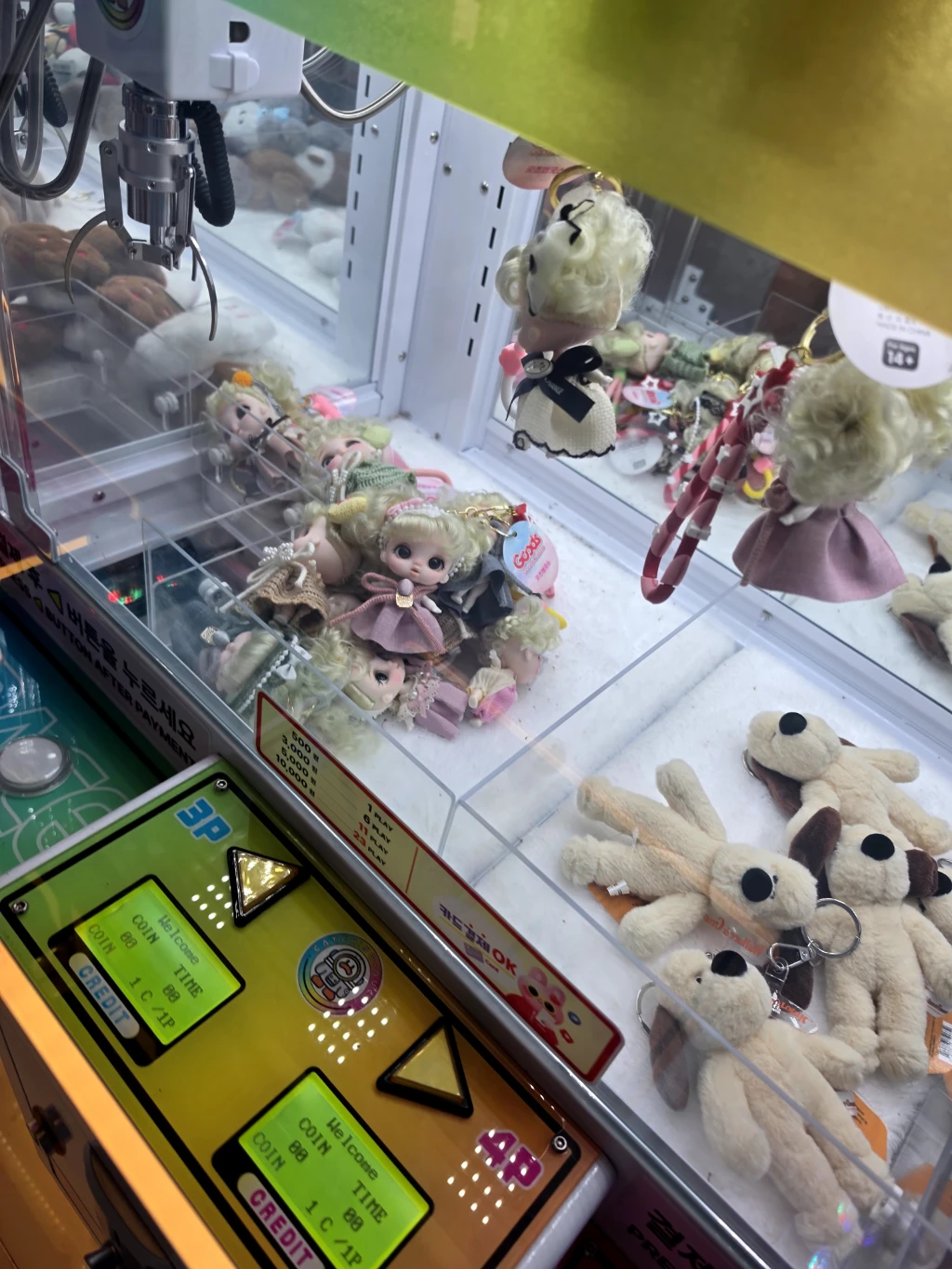 왕짱오락실 사용자 등록 사진