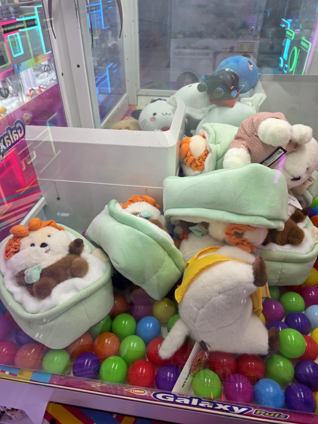 왕짱오락실 사용자 등록 사진