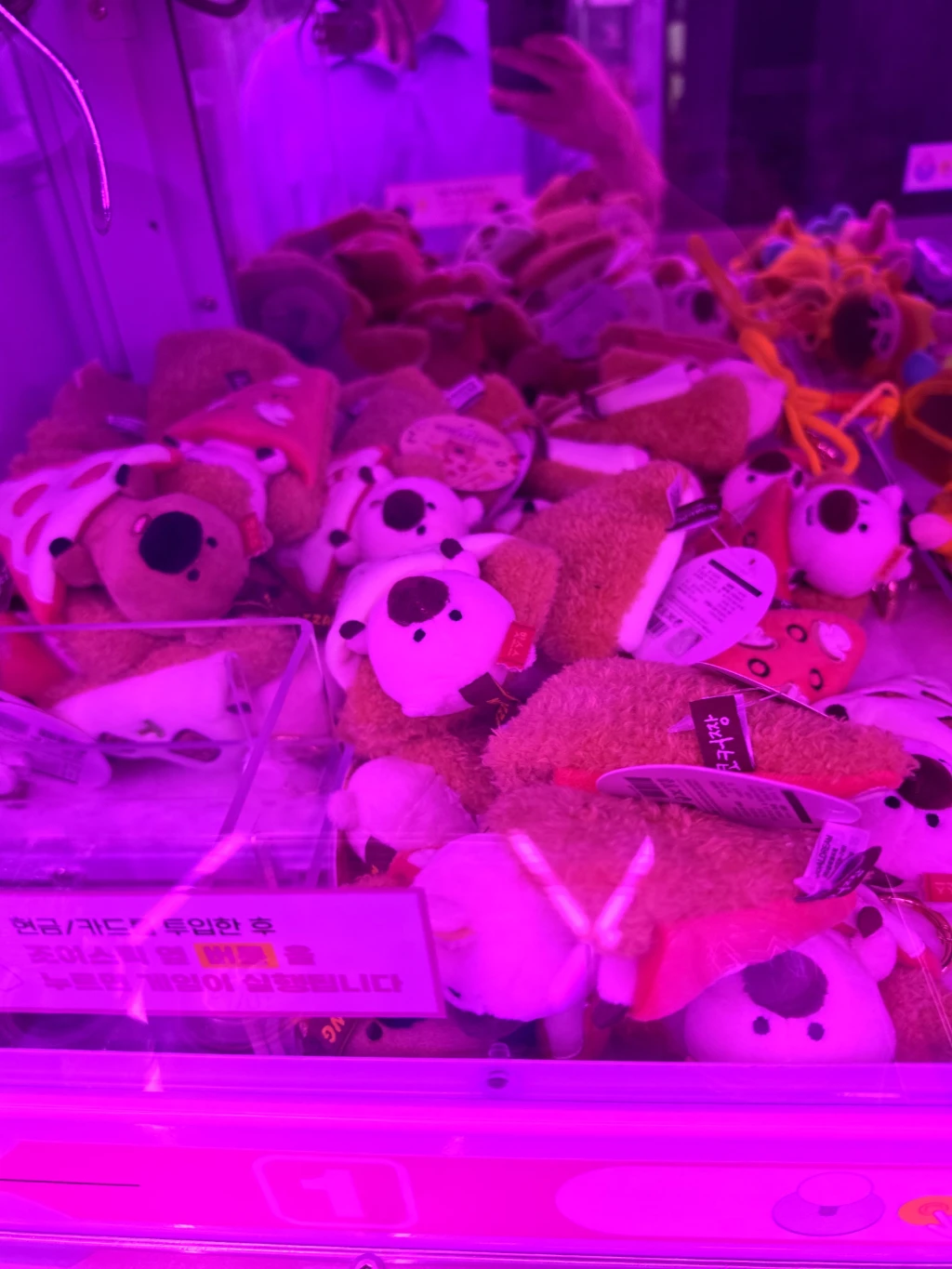 모모스테이션 평택점 매장 사진