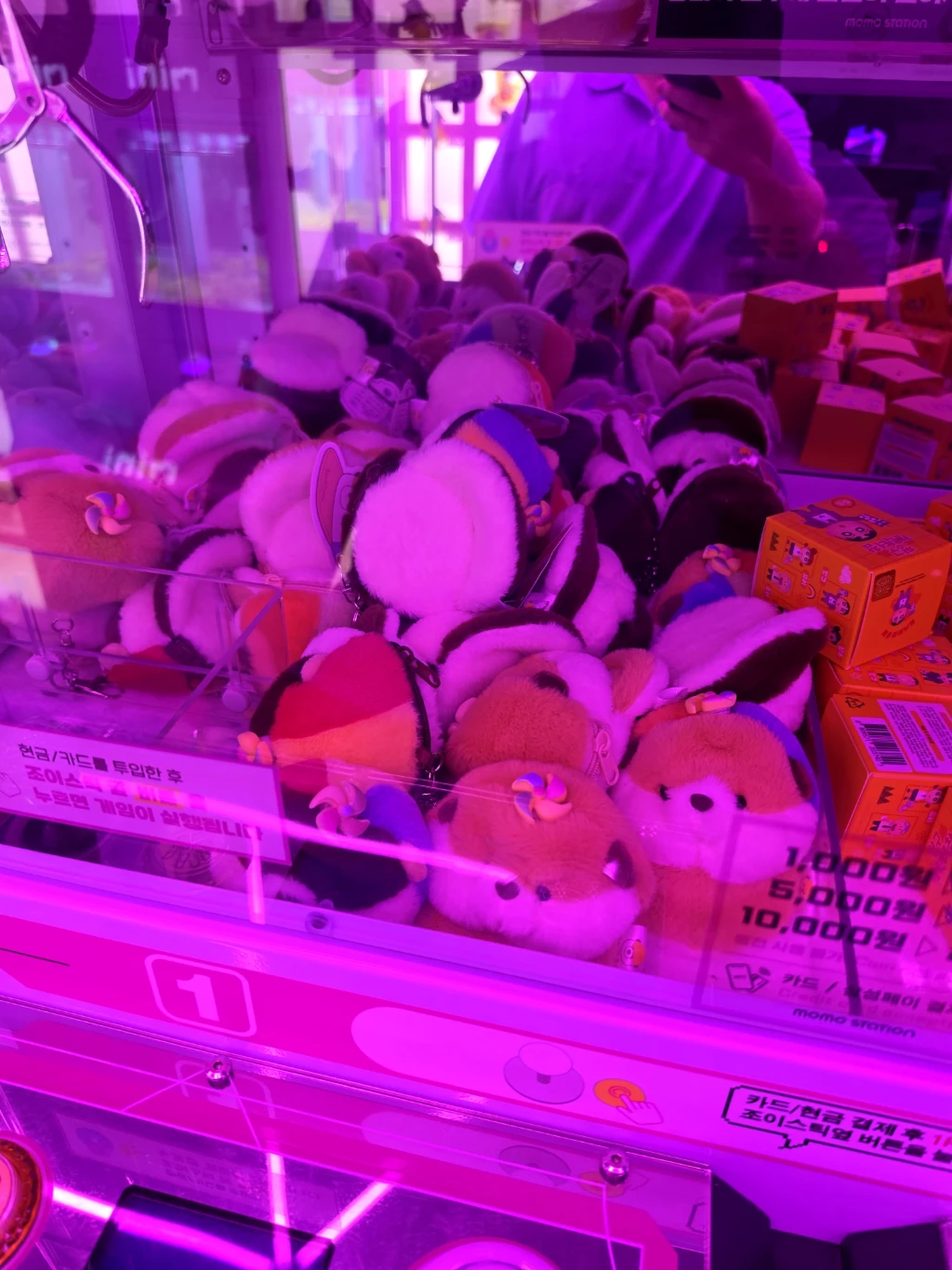 모모스테이션 평택점 매장 사진