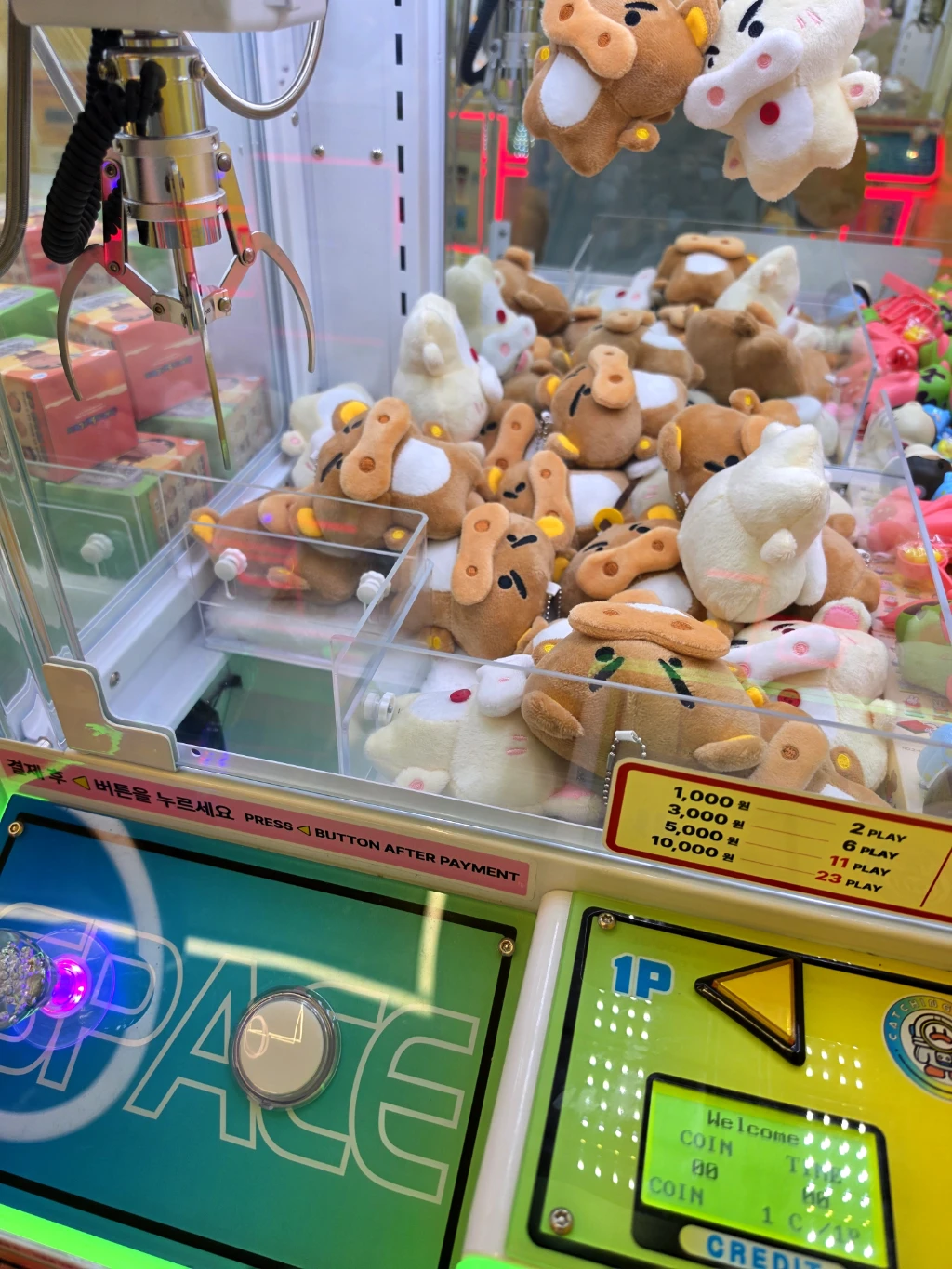 캐칭덕 평택역점 매장 사진