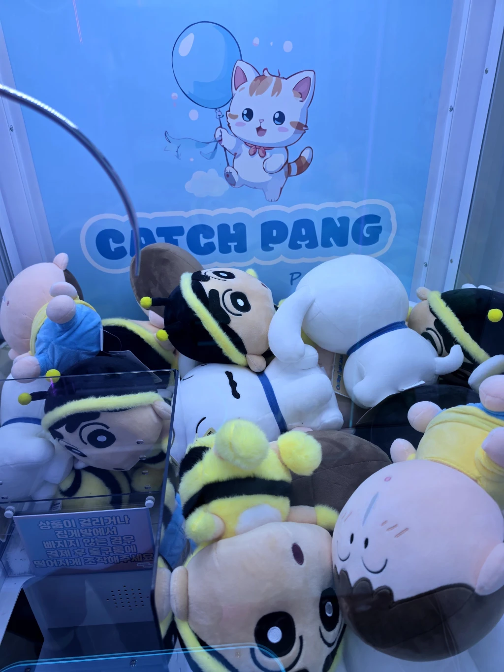 캐치팡 평택점 매장 사진
