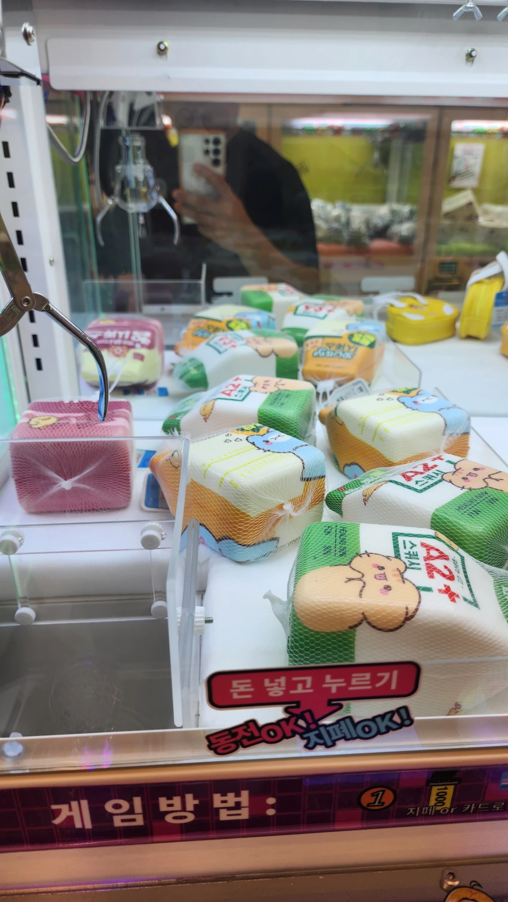 퍼니퍼니 사용자 등록 사진