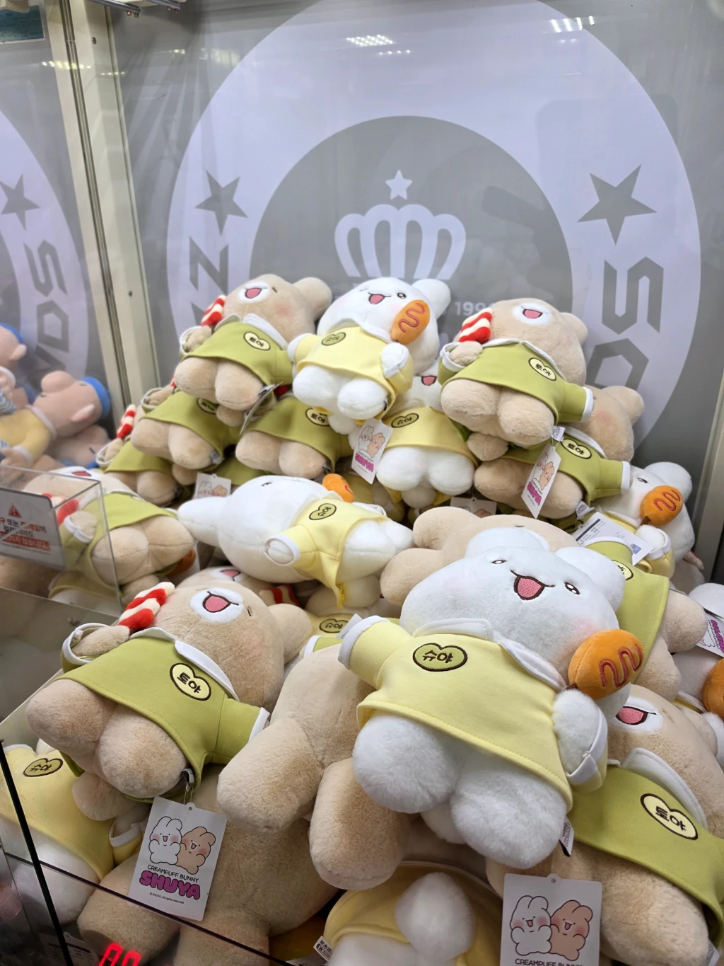 짱오락실 사용자 등록 사진