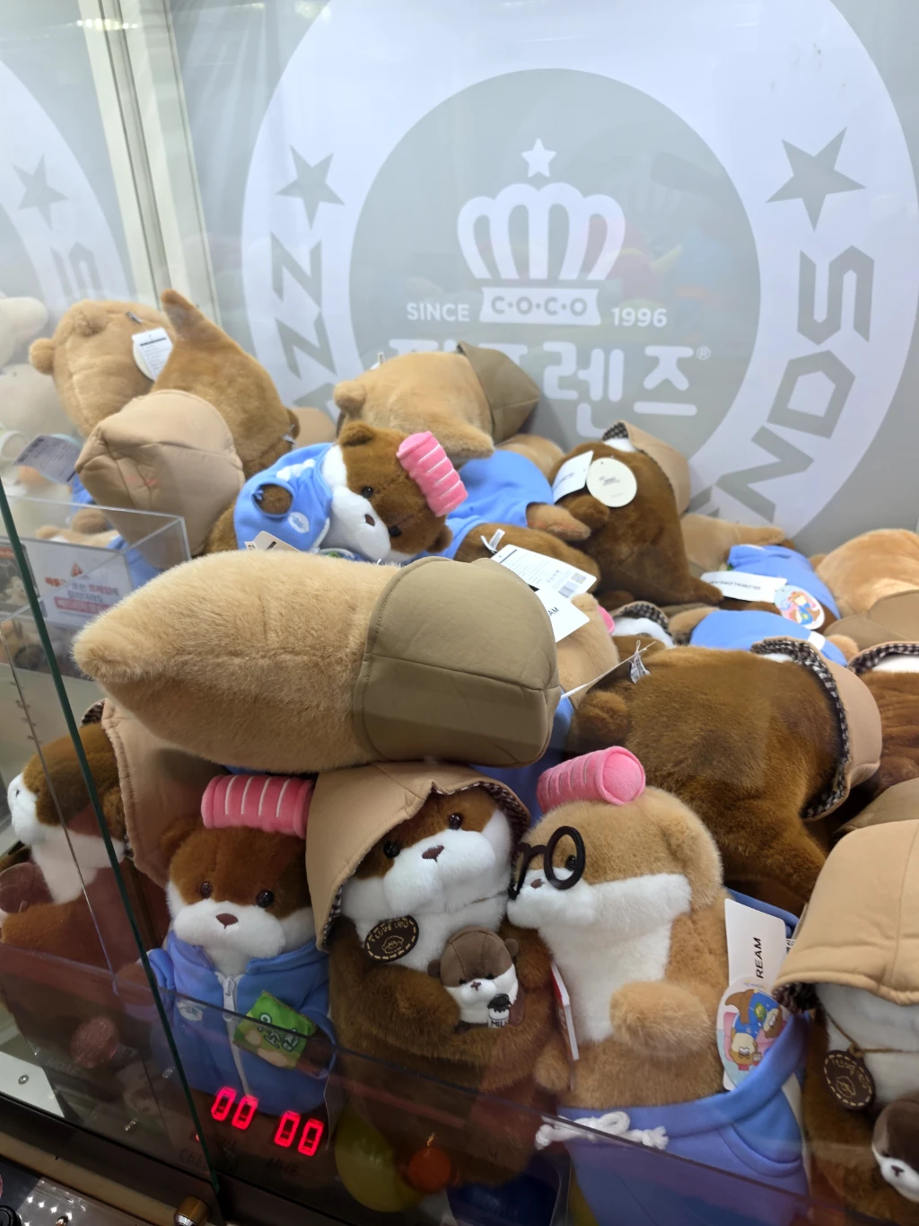 짱오락실 사용자 등록 사진