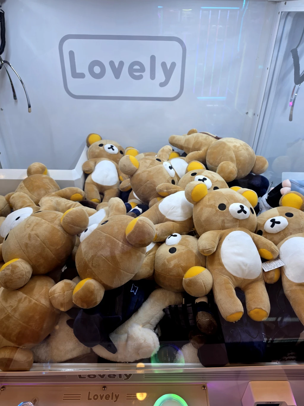 토이스토리 천안 신방점 사용자 등록 사진