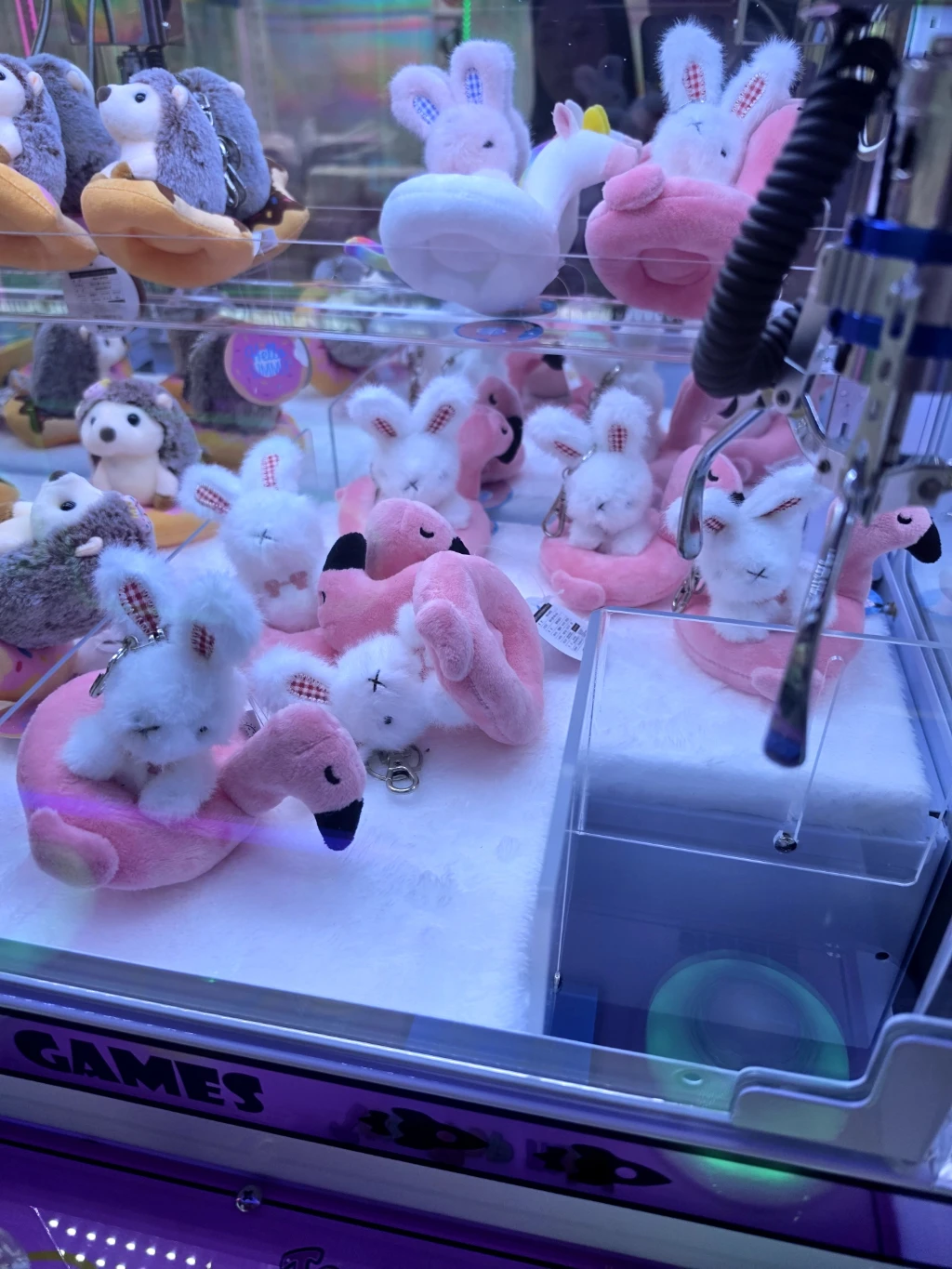 코코 불당점 매장 사진