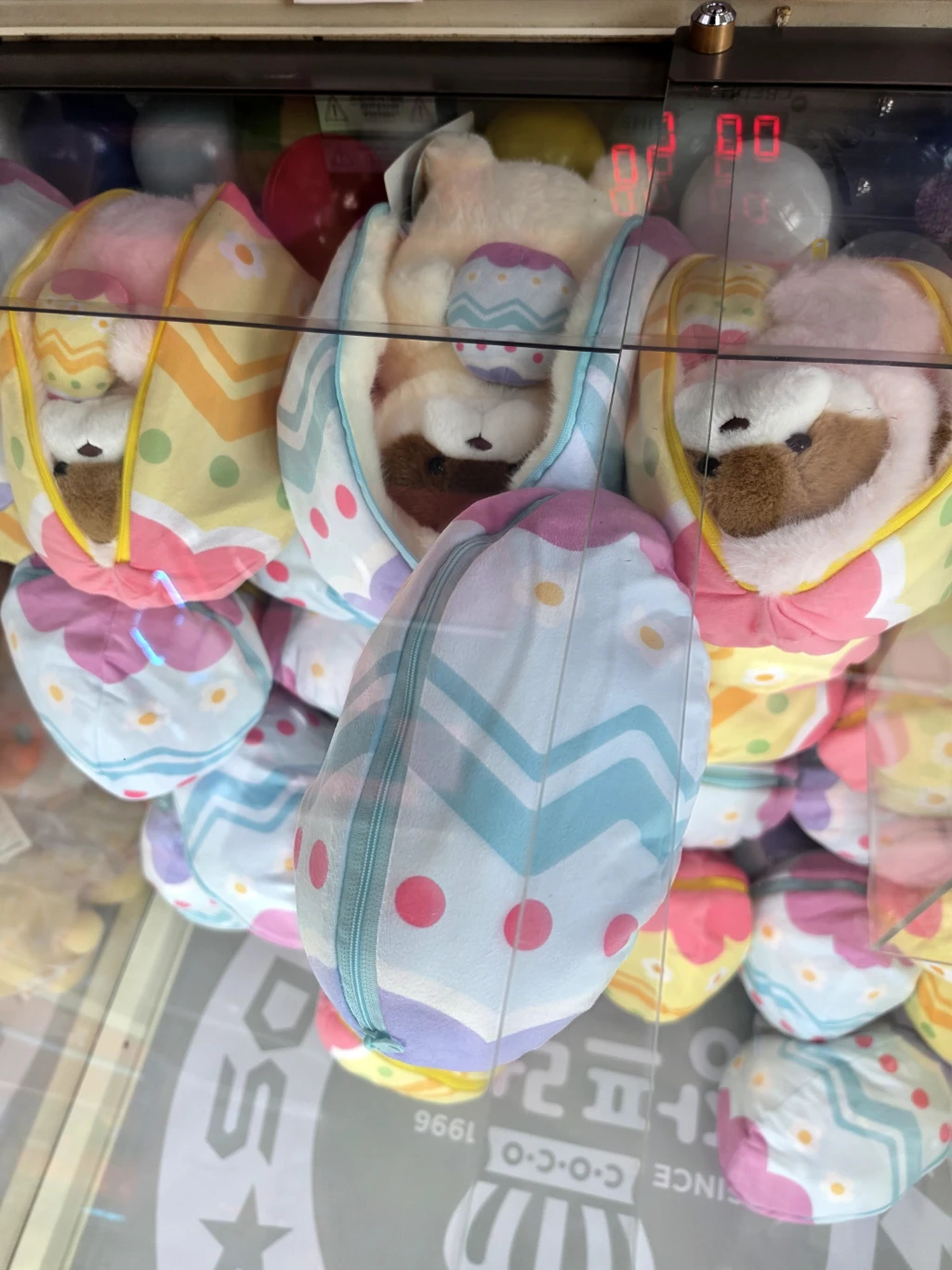 짱오락실 사용자 등록 사진