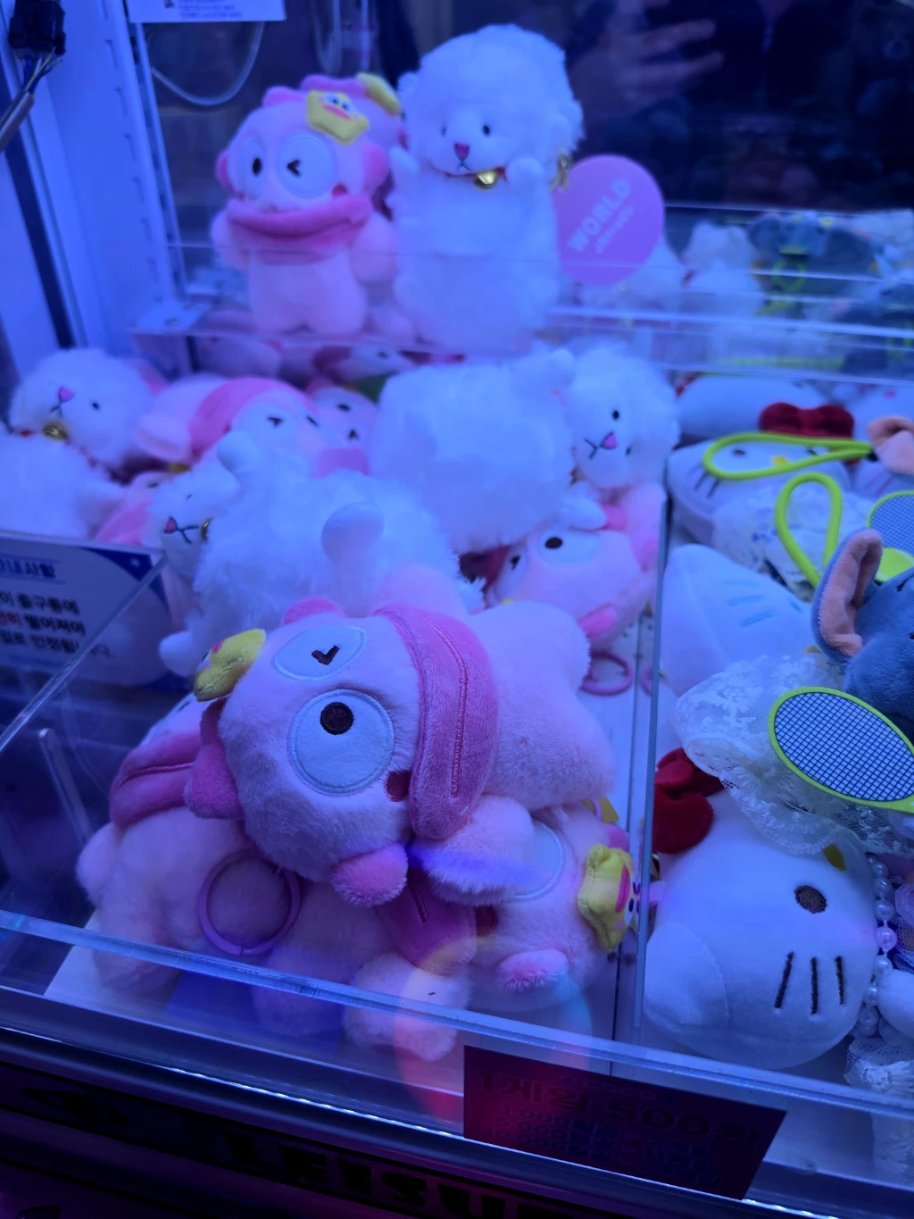 코코 불당점 매장 사진