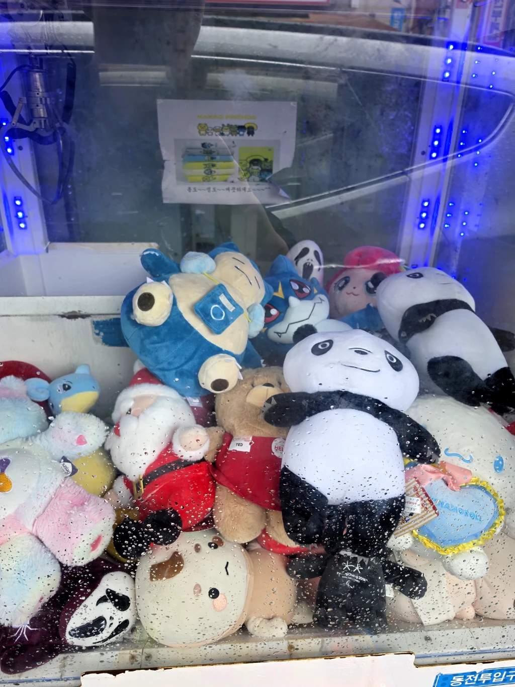 ToyBox 사용자 등록 사진
