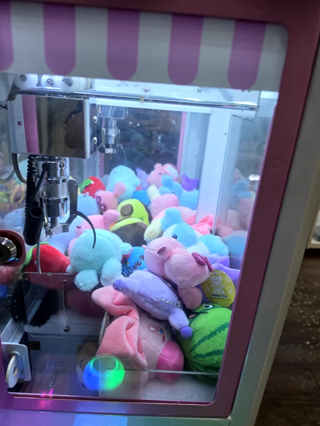 토이박스 사용자 등록 사진