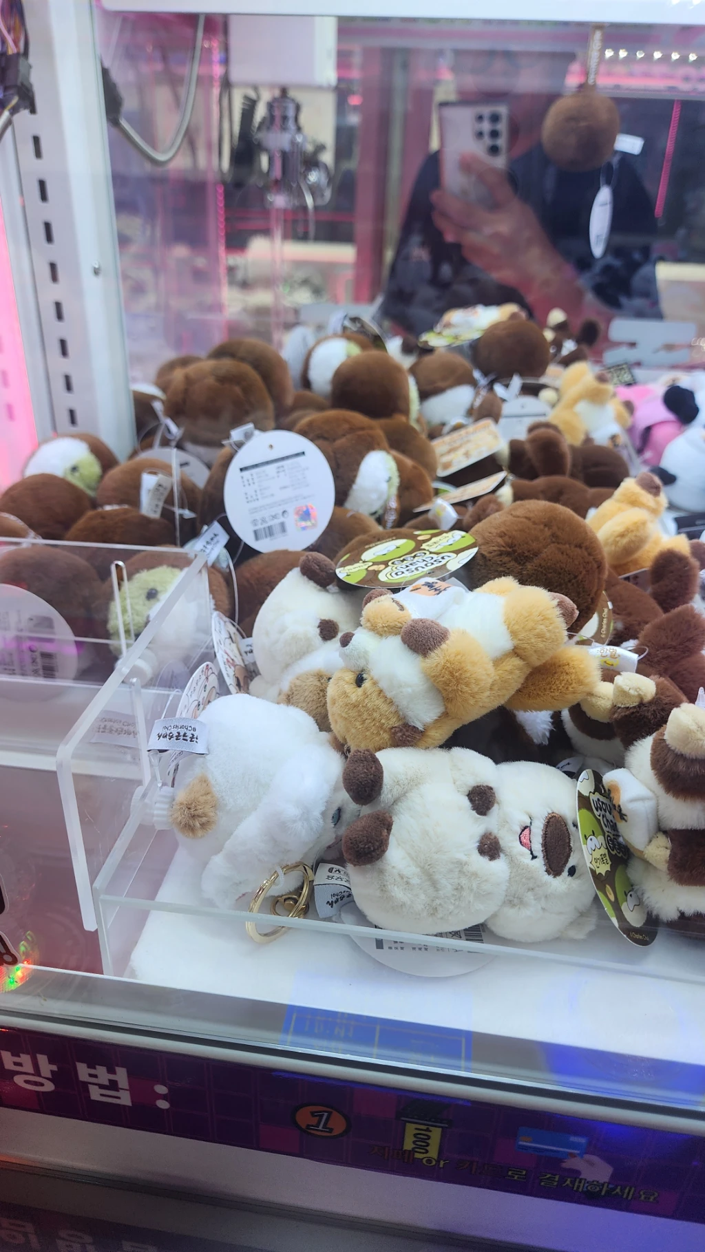 뽑다방 매장 사진