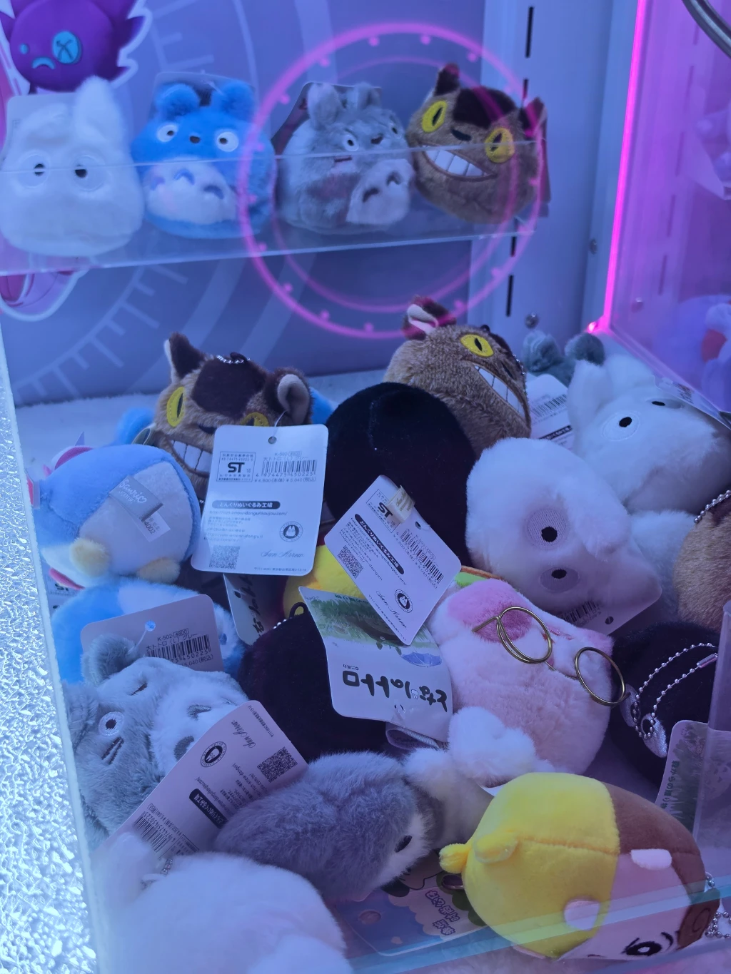 봉봉스테이션 방문 후기 사진