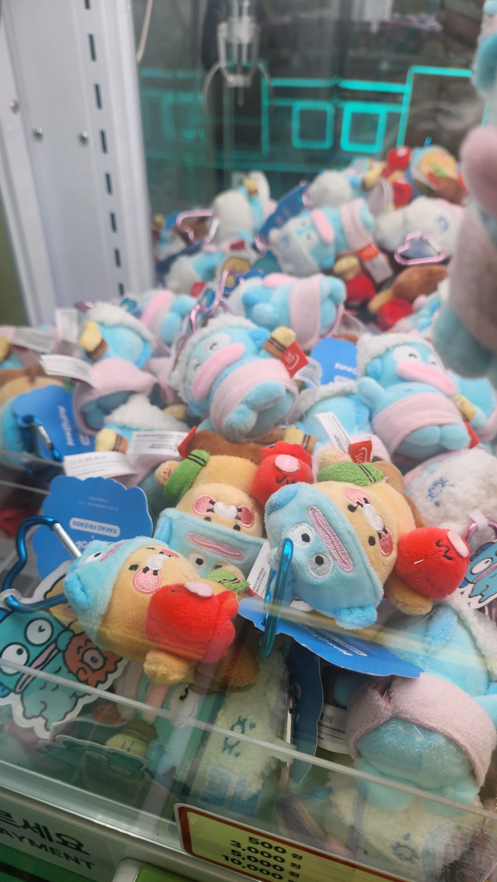 캐칭덕 오창점 매장 사진