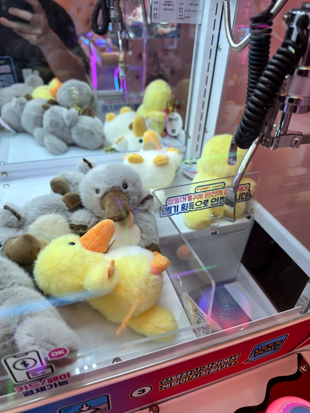 플레이앤팝 오창점 매장 사진