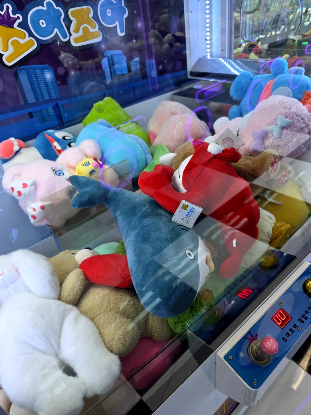 프라임플레이존 사용자 등록 사진