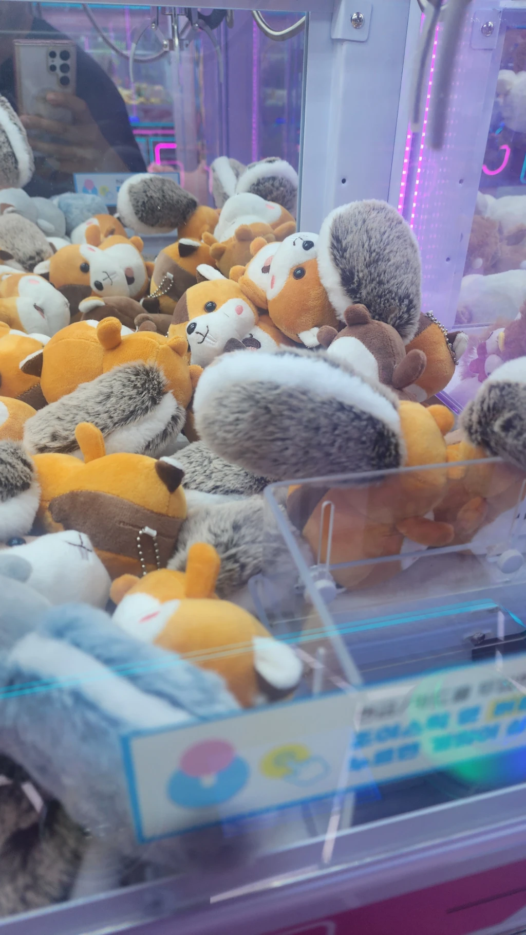 팡야팡야 오창점 매장 사진
