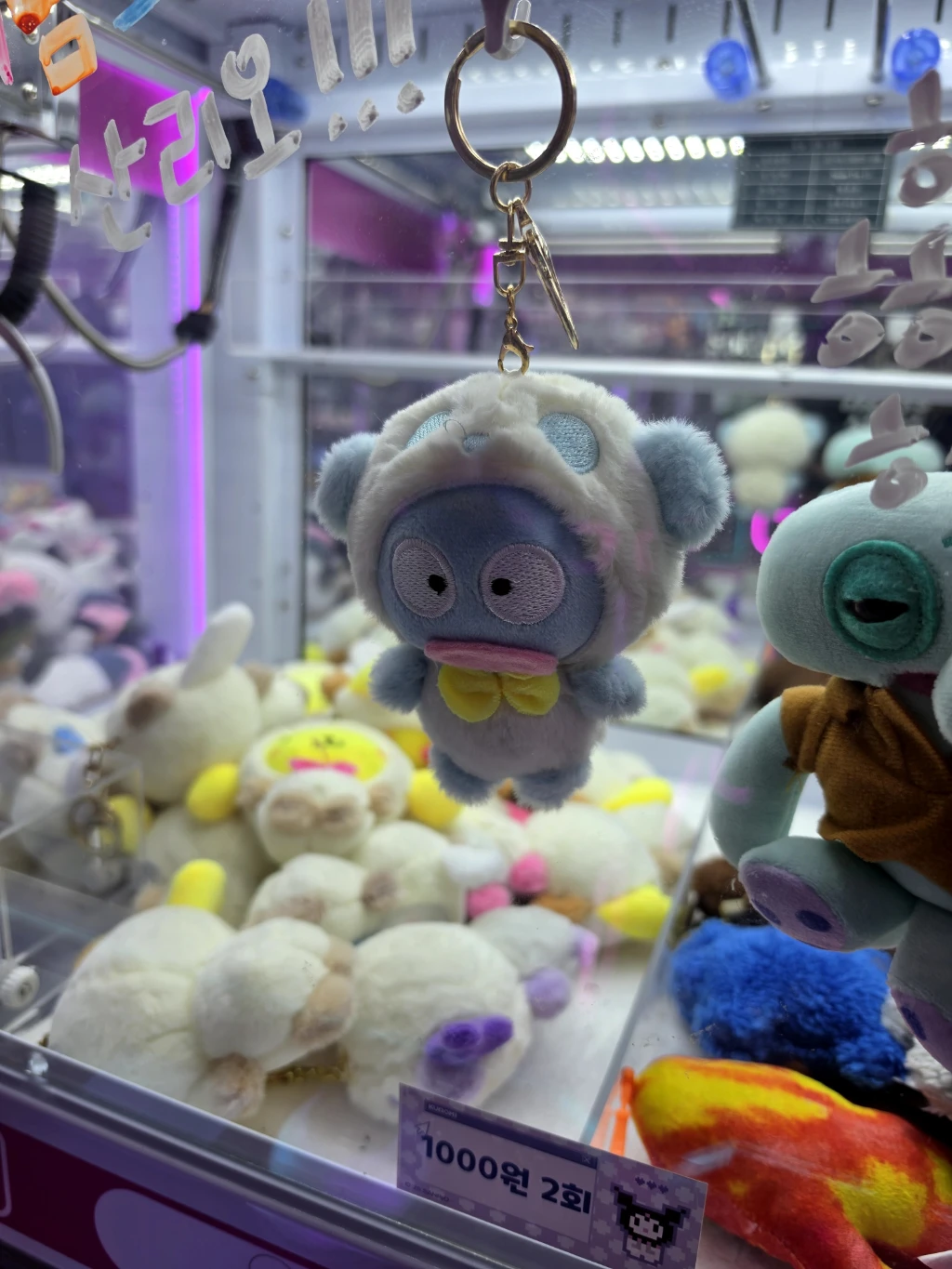 팡야팡야 오창점 매장 사진