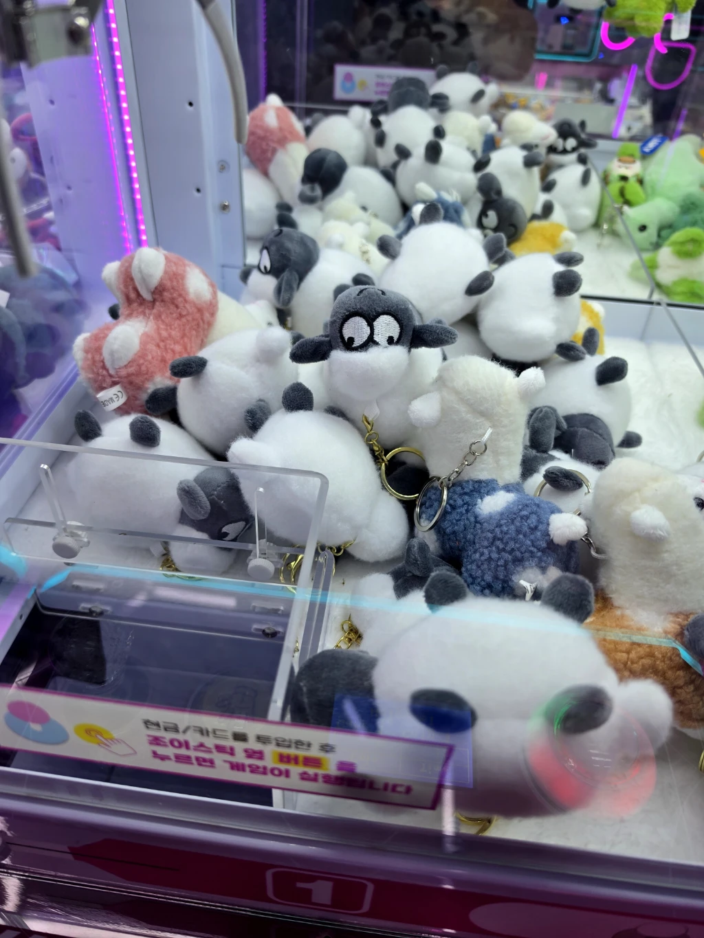 팡야팡야 오창점 매장 사진