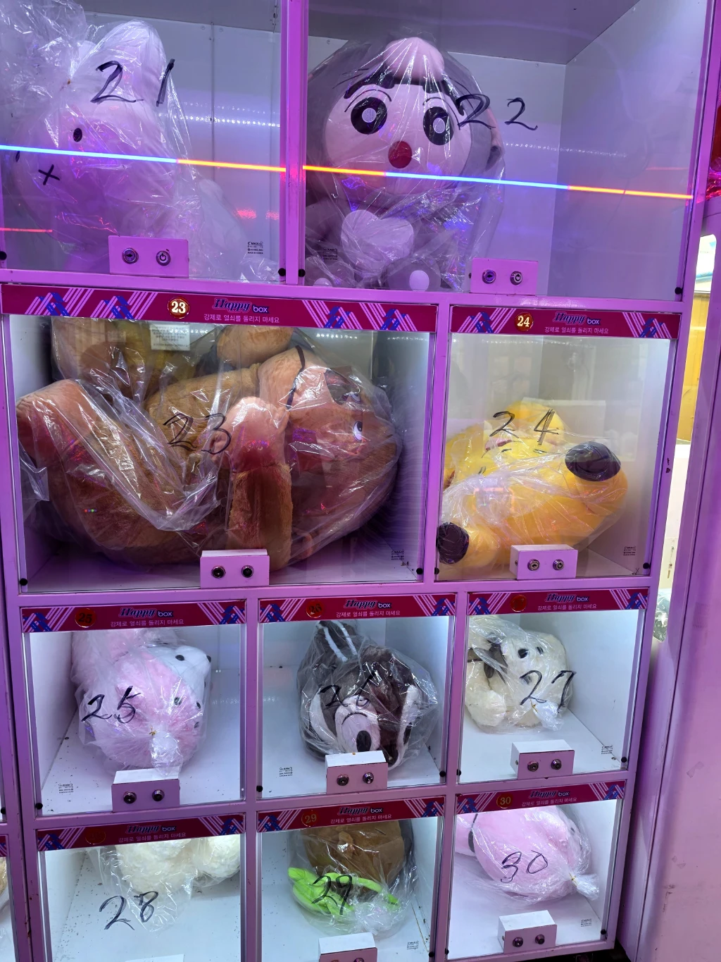허니몬 뽑기샵 사용자 등록 사진
