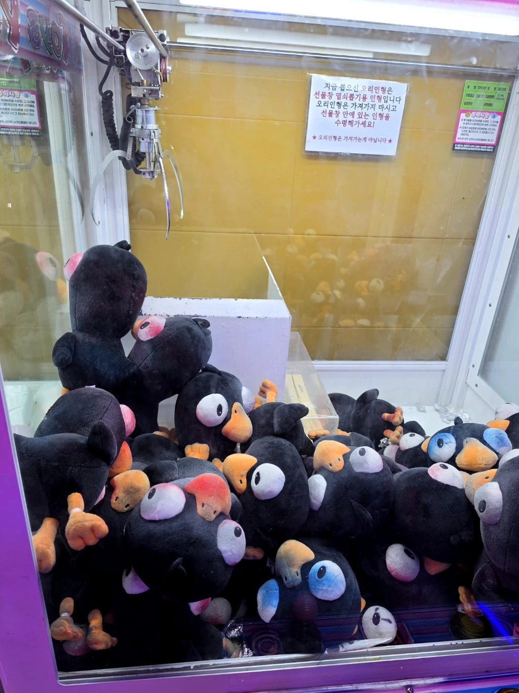허니몬 뽑기샵 사용자 등록 사진