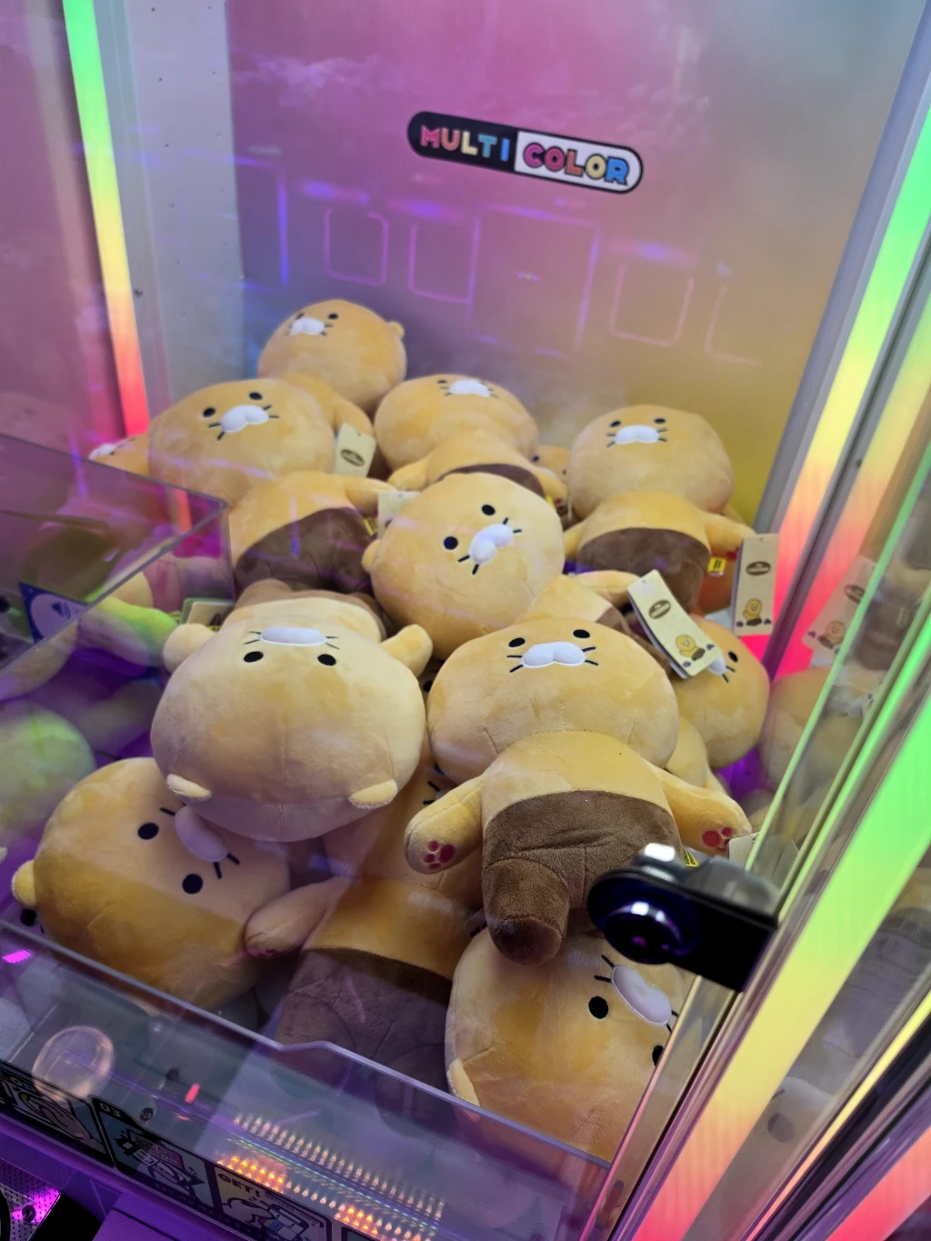 코코 매장 사진