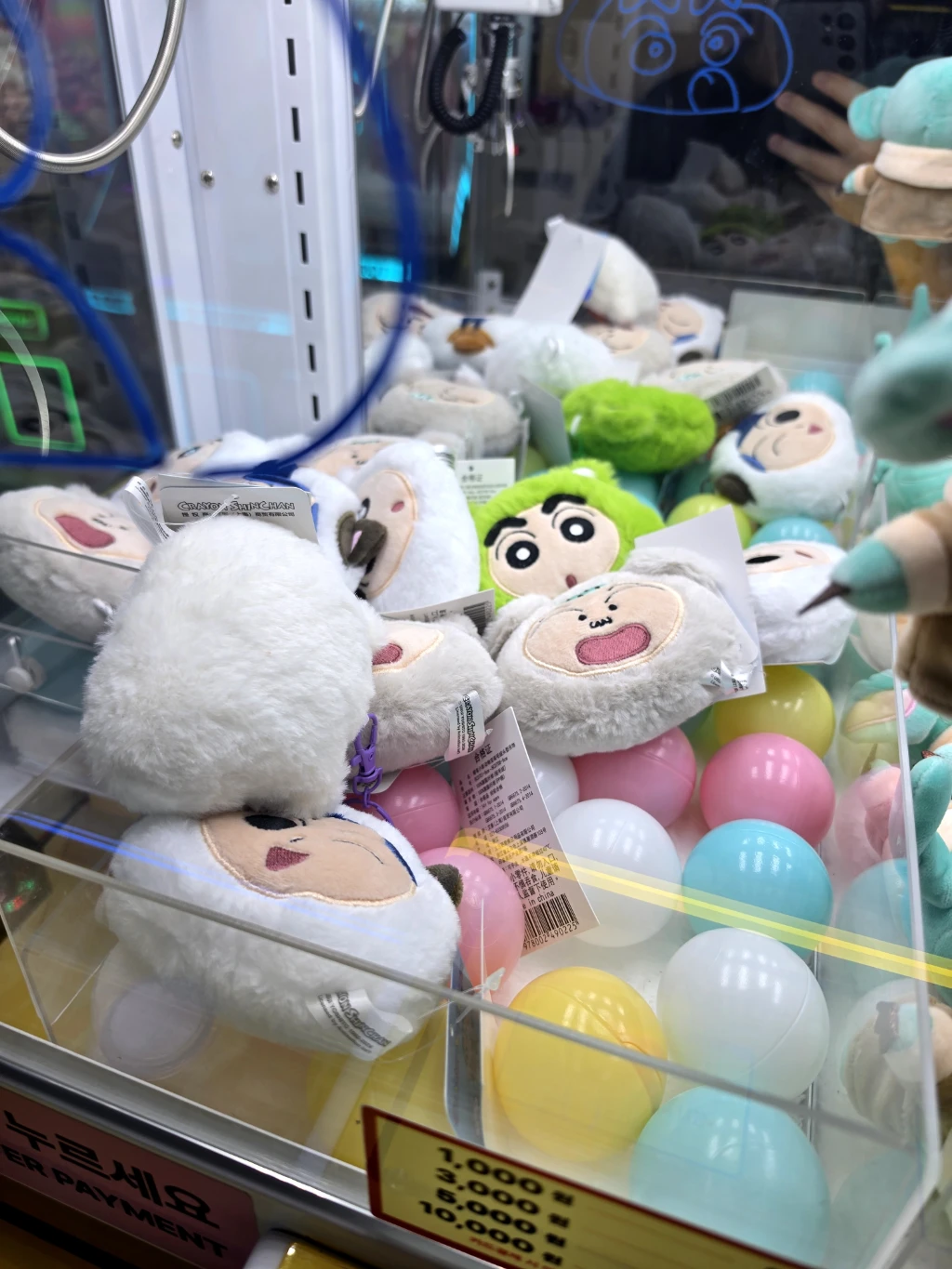 키치캐치 청주오송점 매장 사진