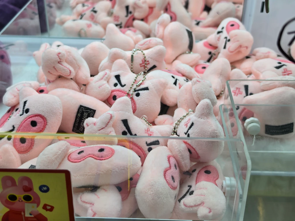 키치캐치 청주오송점 사용자 등록 사진