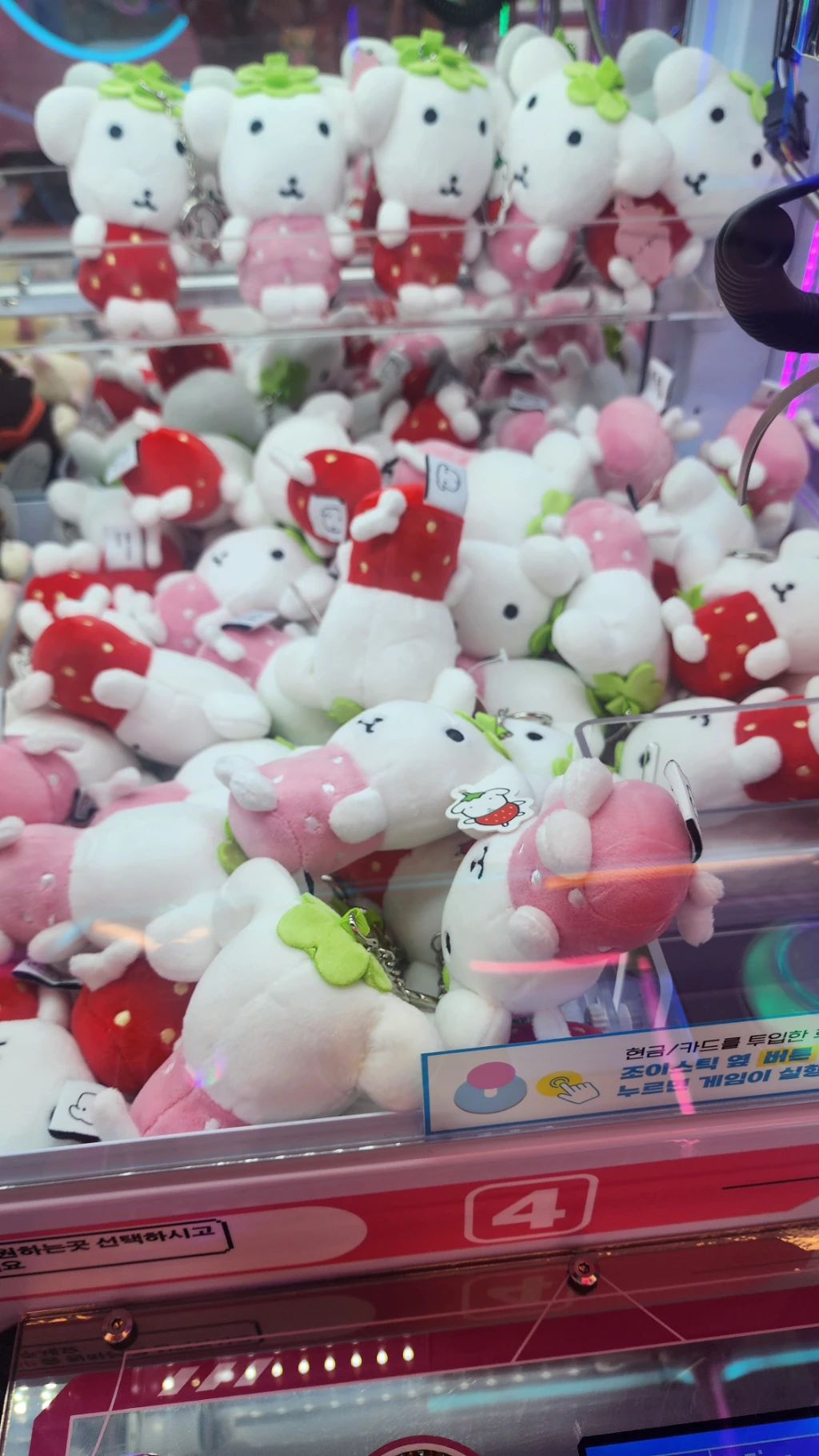 캐치팡팡 조치원점 매장 사진