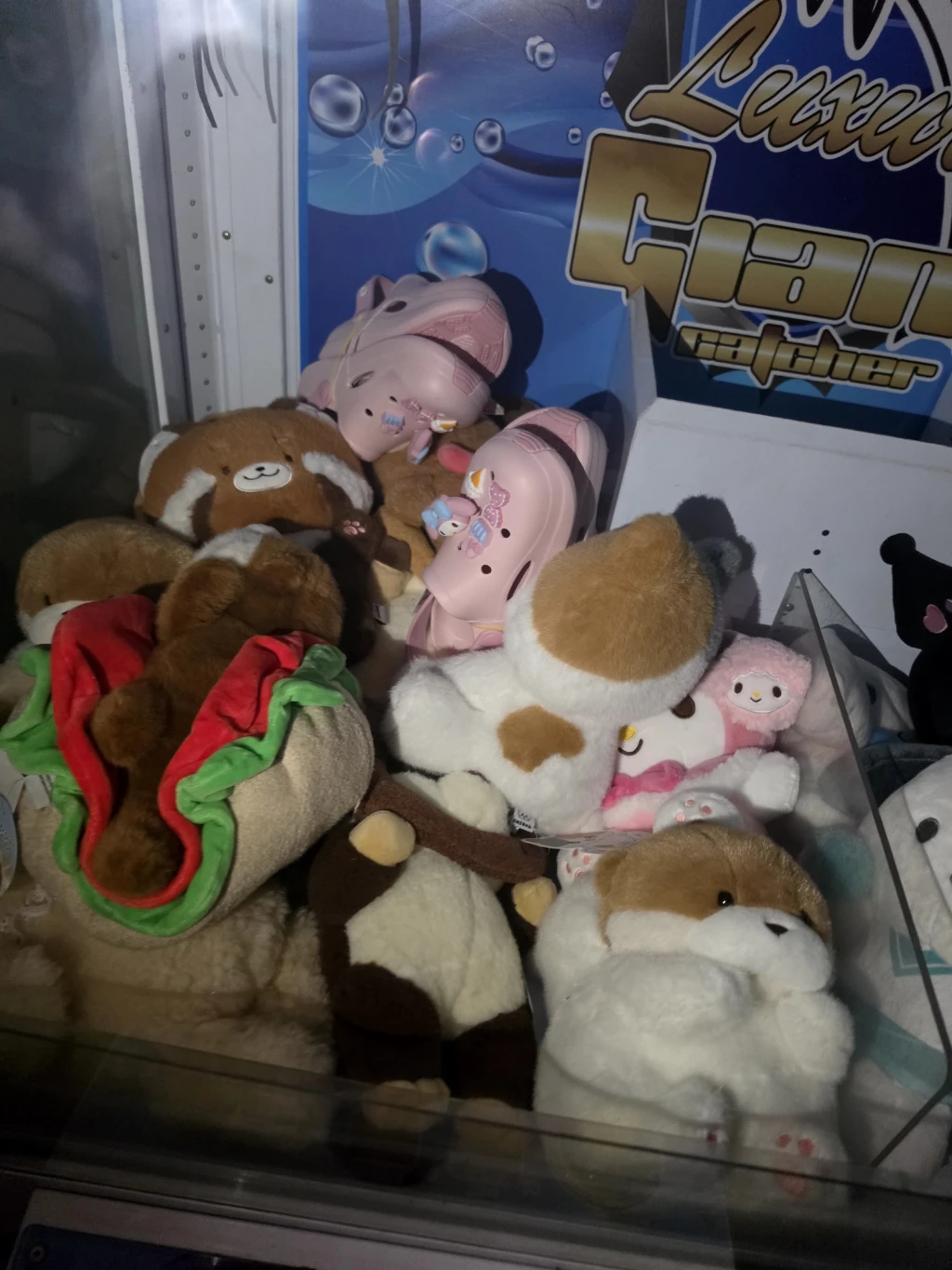 TOYLAND 조치원점 사용자 등록 사진