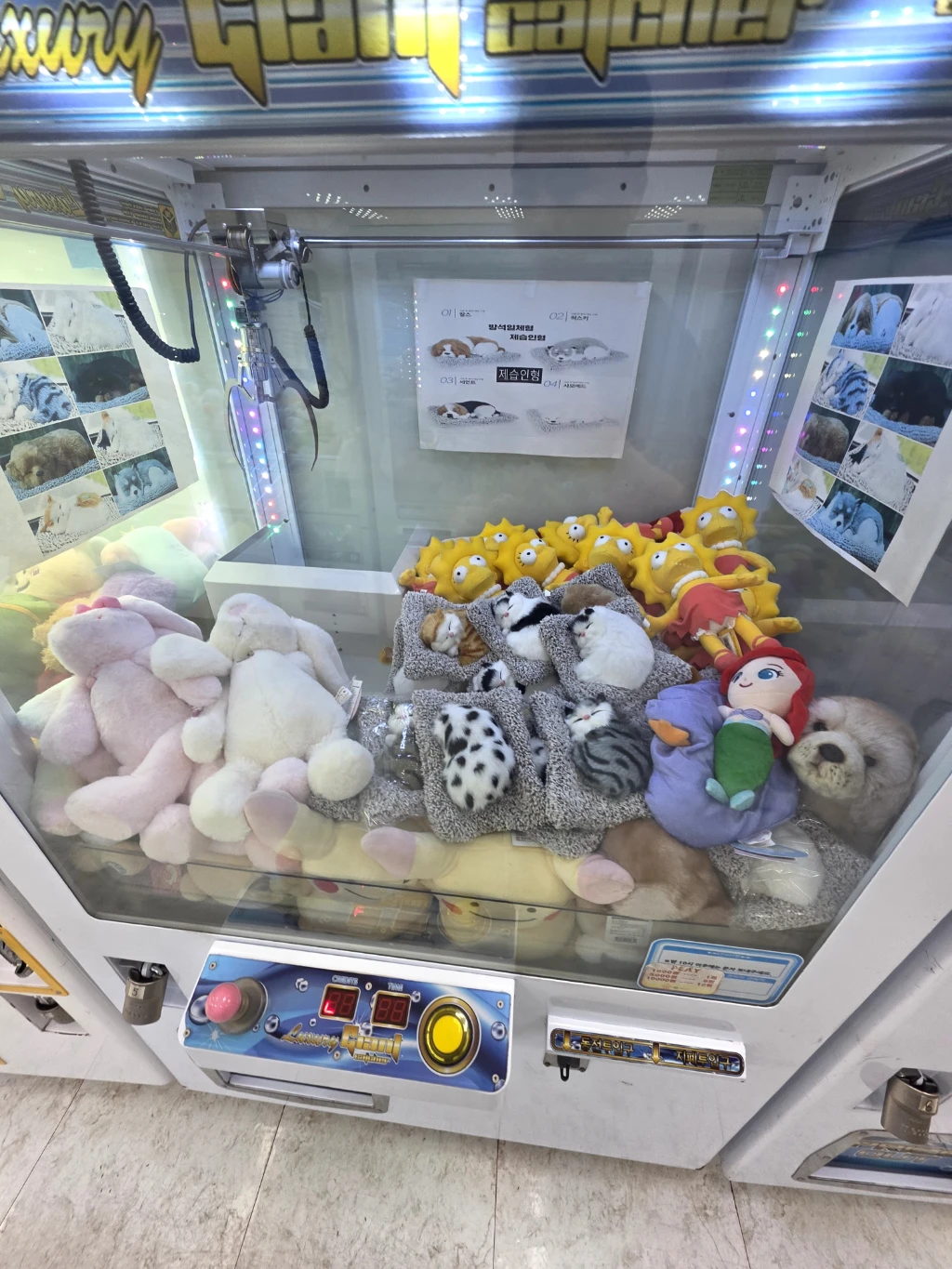 뽀끼뽀꼬 사용자 등록 사진