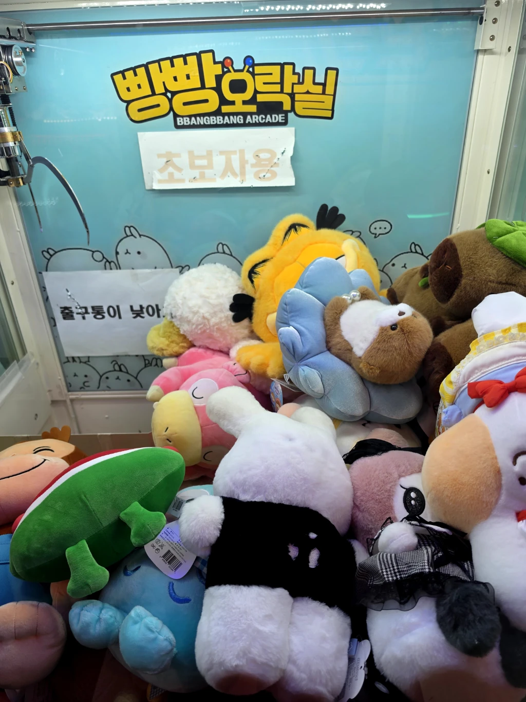 빵빵 오락실 매장 사진