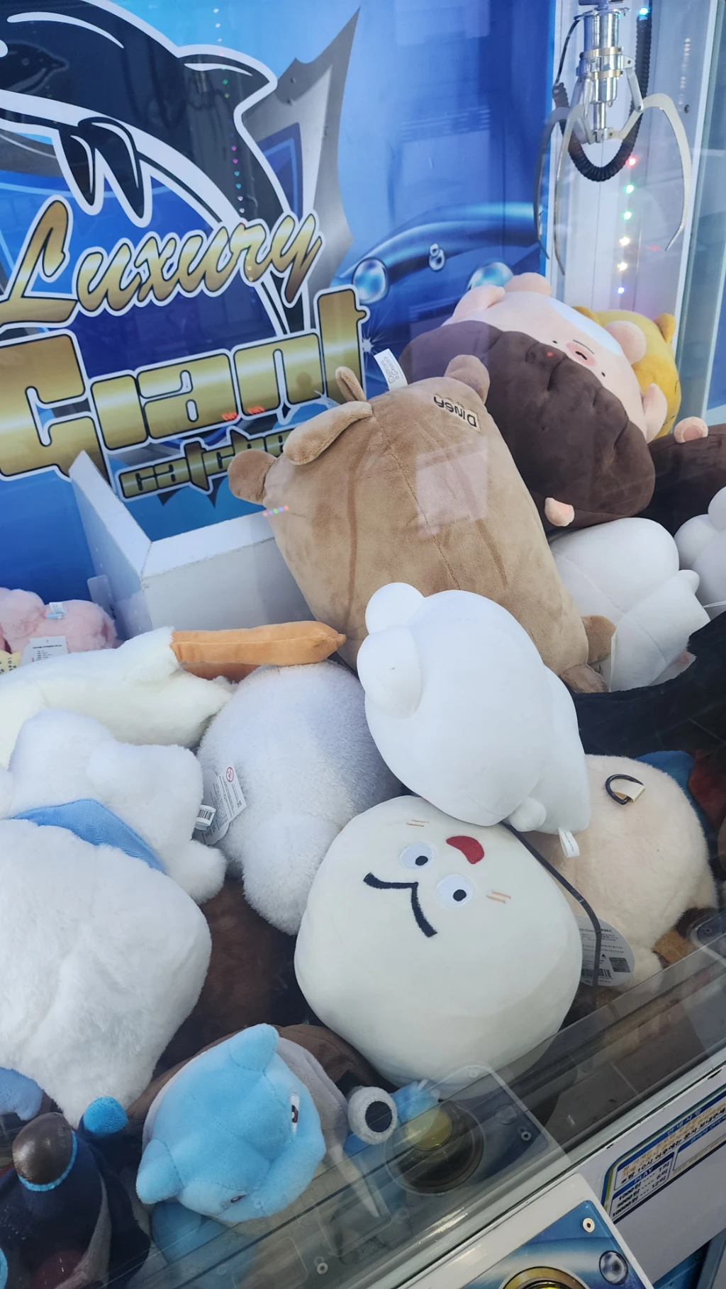 뽀끼뽀끼 사용자 등록 사진