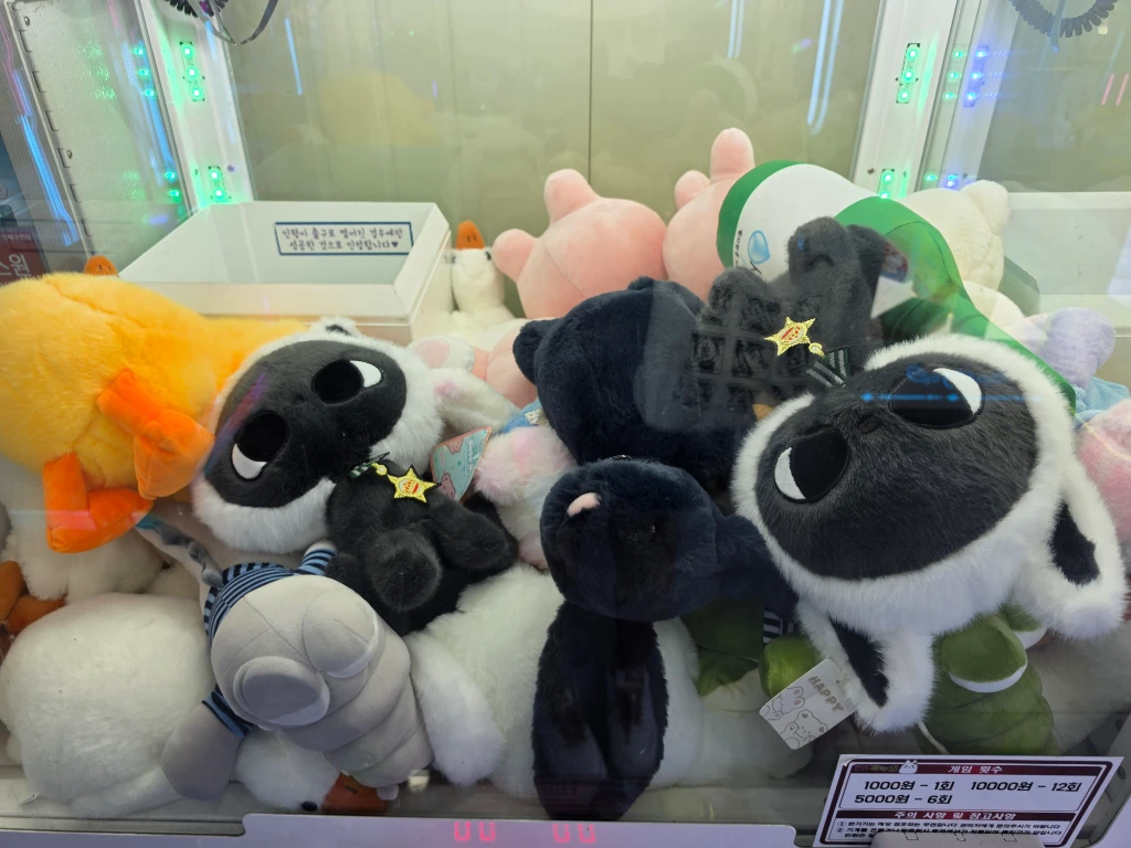 오!뽑기 사용자 등록 사진