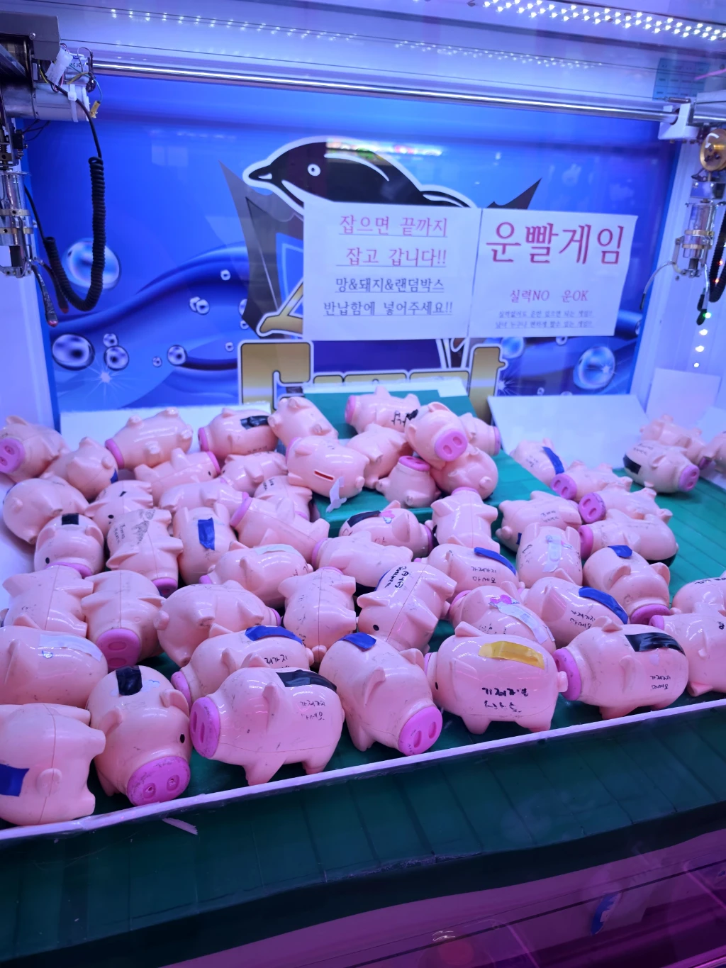 뽑기존 매장 사진