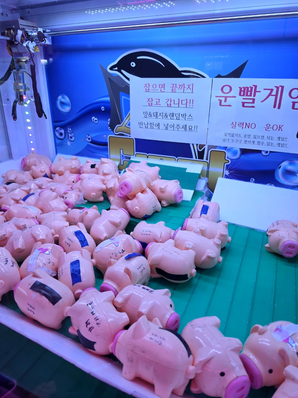 뽑기존 매장 사진