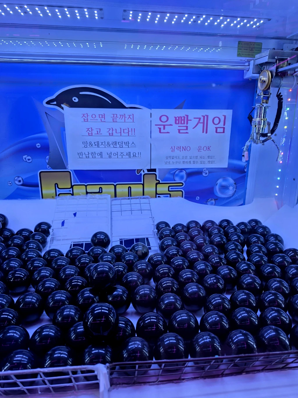 뽑기존 매장 사진
