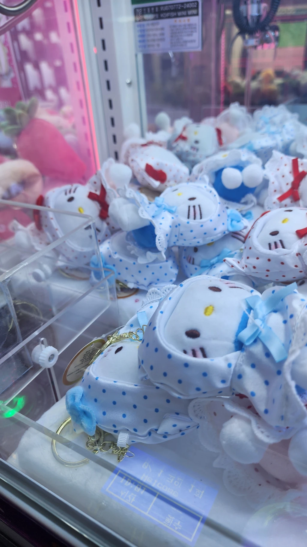 팡팡배틀존 매장 사진