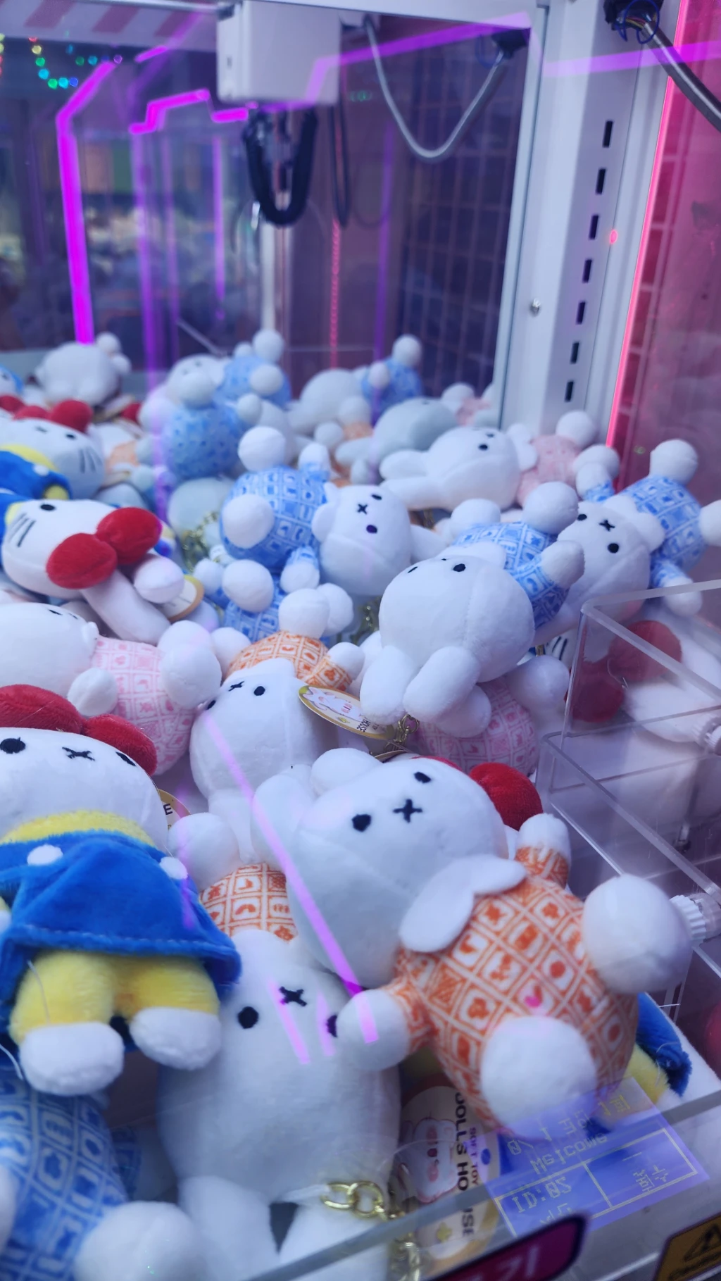 팡팡배틀존 매장 사진