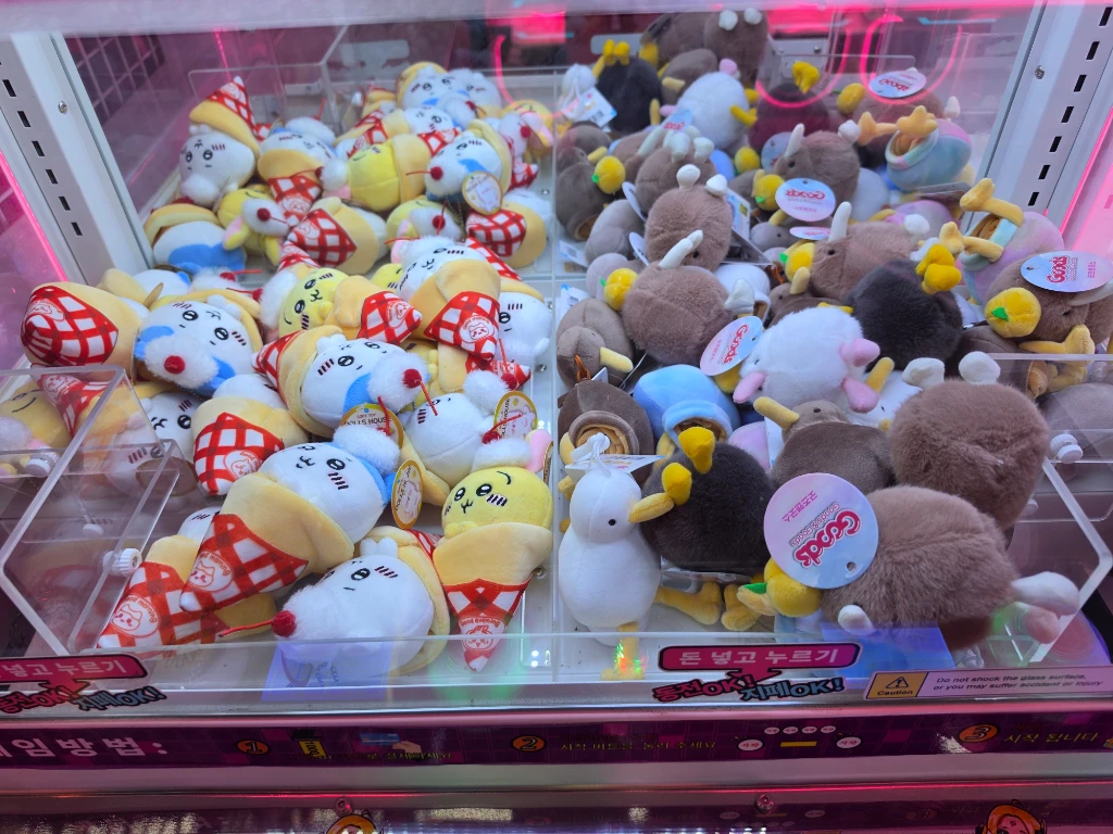 팡팡배틀존 매장 사진